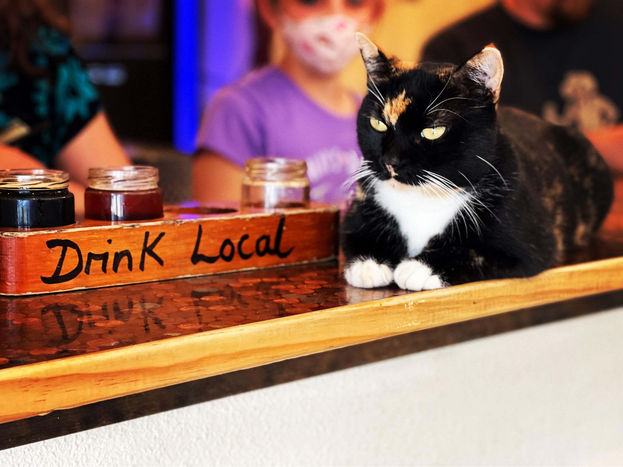 Galveston brewery's new IPA honors late feline mascot
