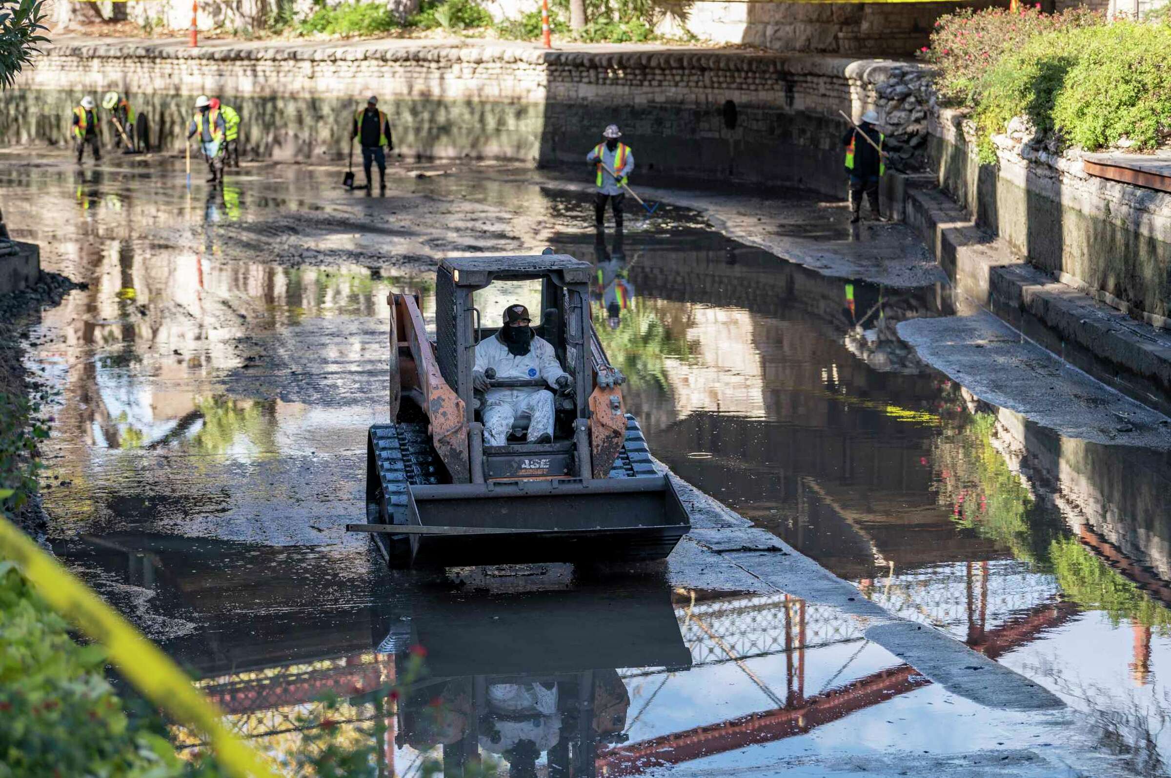Nearly 2,000 invasive apple snails removed from San Antonio River