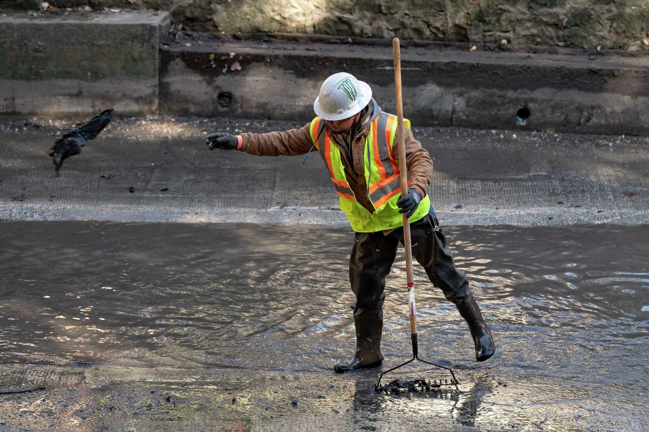 Nearly 2,000 invasive apple snails removed from San Antonio River