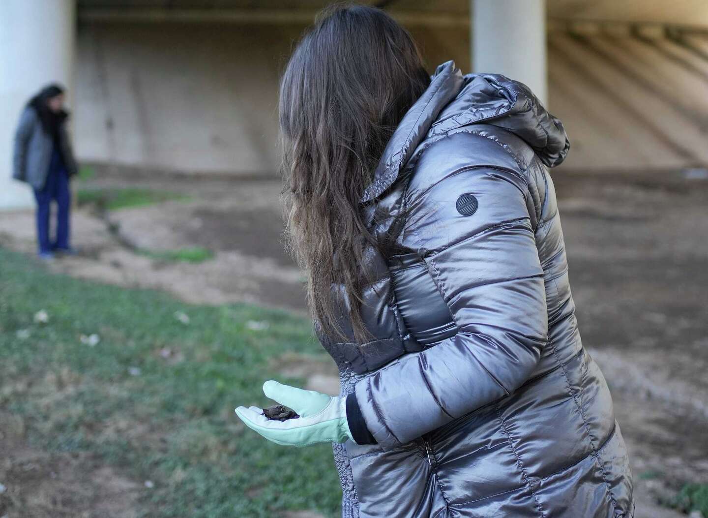 Houston Humane Society to release bats saved from freezing weather