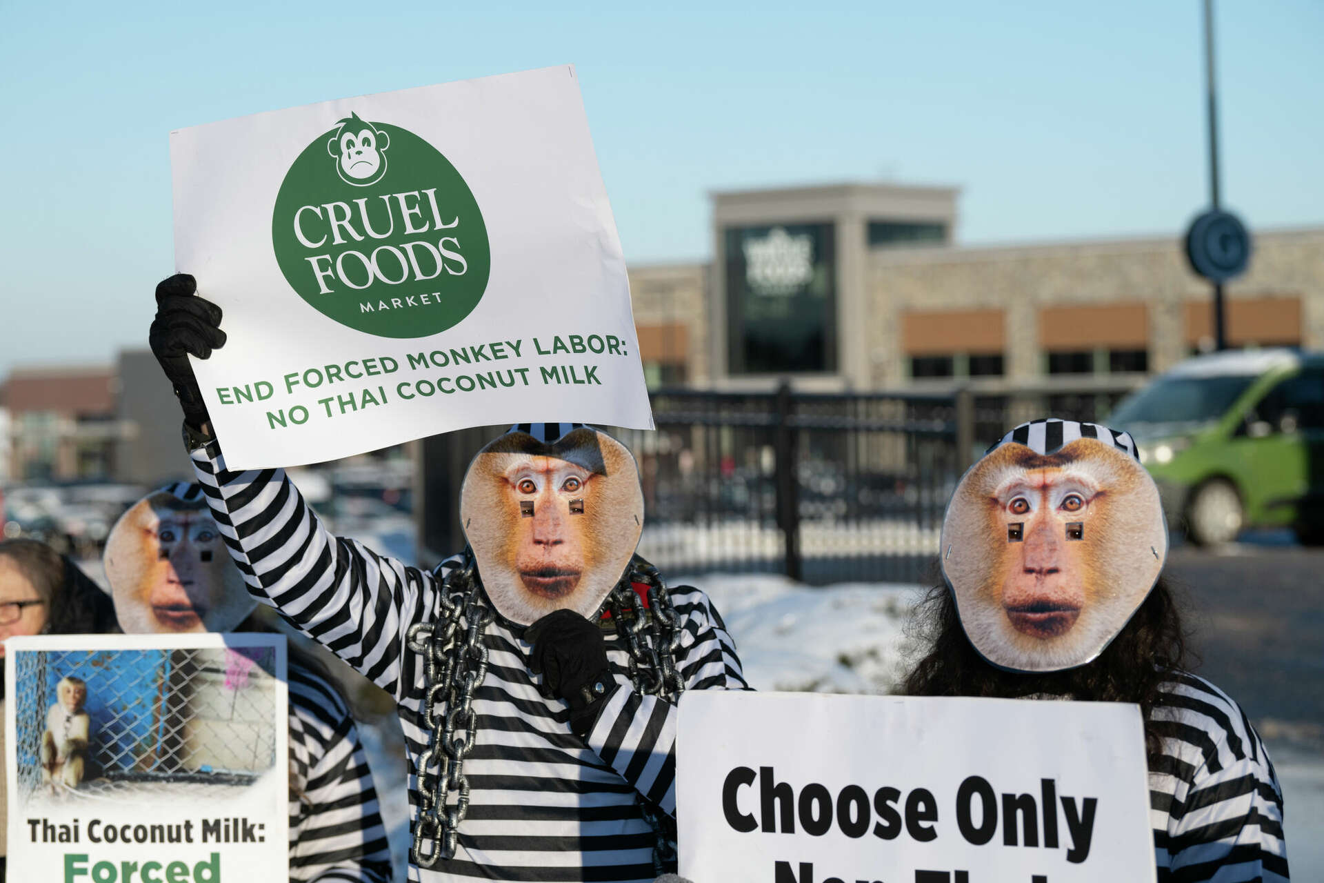 Whole Foods Opens South Windsor Store, Protested By PETA