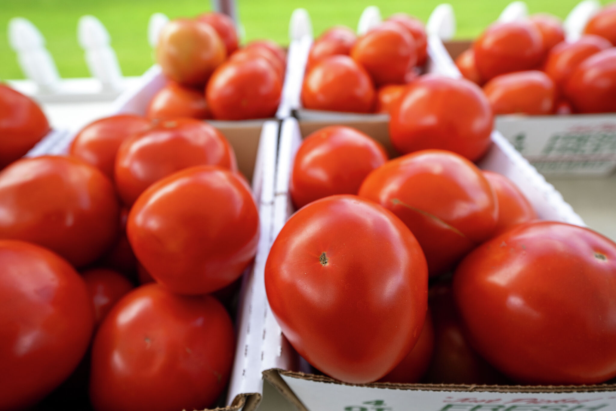 Florida's push for tomato tariff would cost Texans Nirenberg
