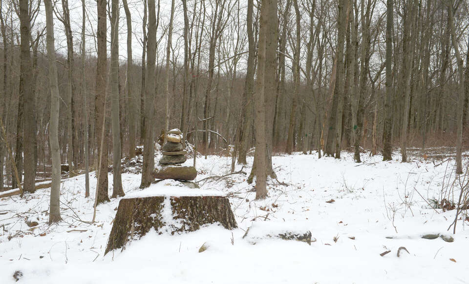 Danbury land isn't a 'future school site,' despite note in records