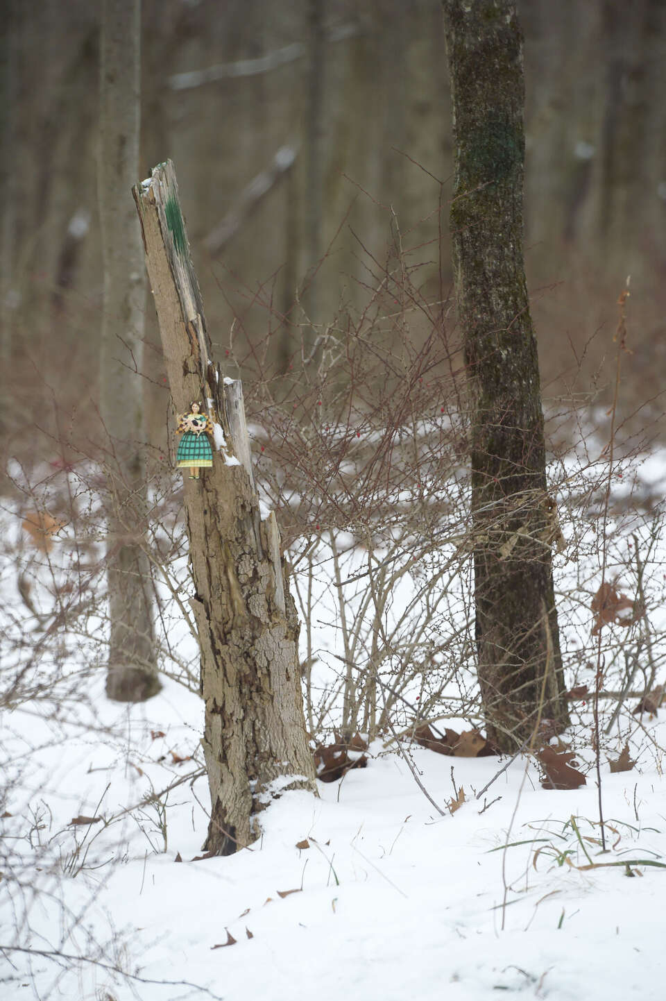 Danbury land isn't a 'future school site,' despite note in records