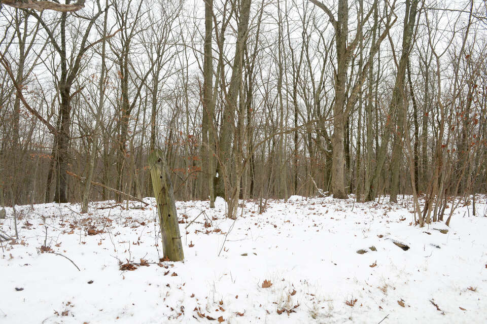 Danbury land isn't a 'future school site,' despite note in records