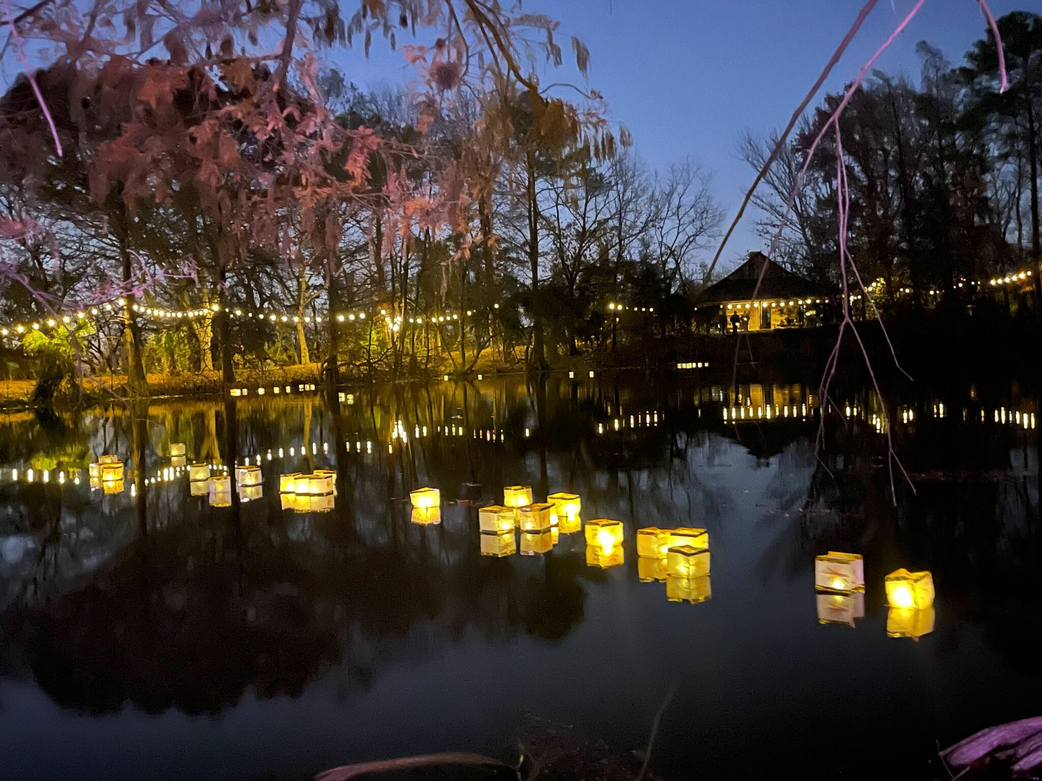 Lantern Fest at San Antonio Botanical Garden