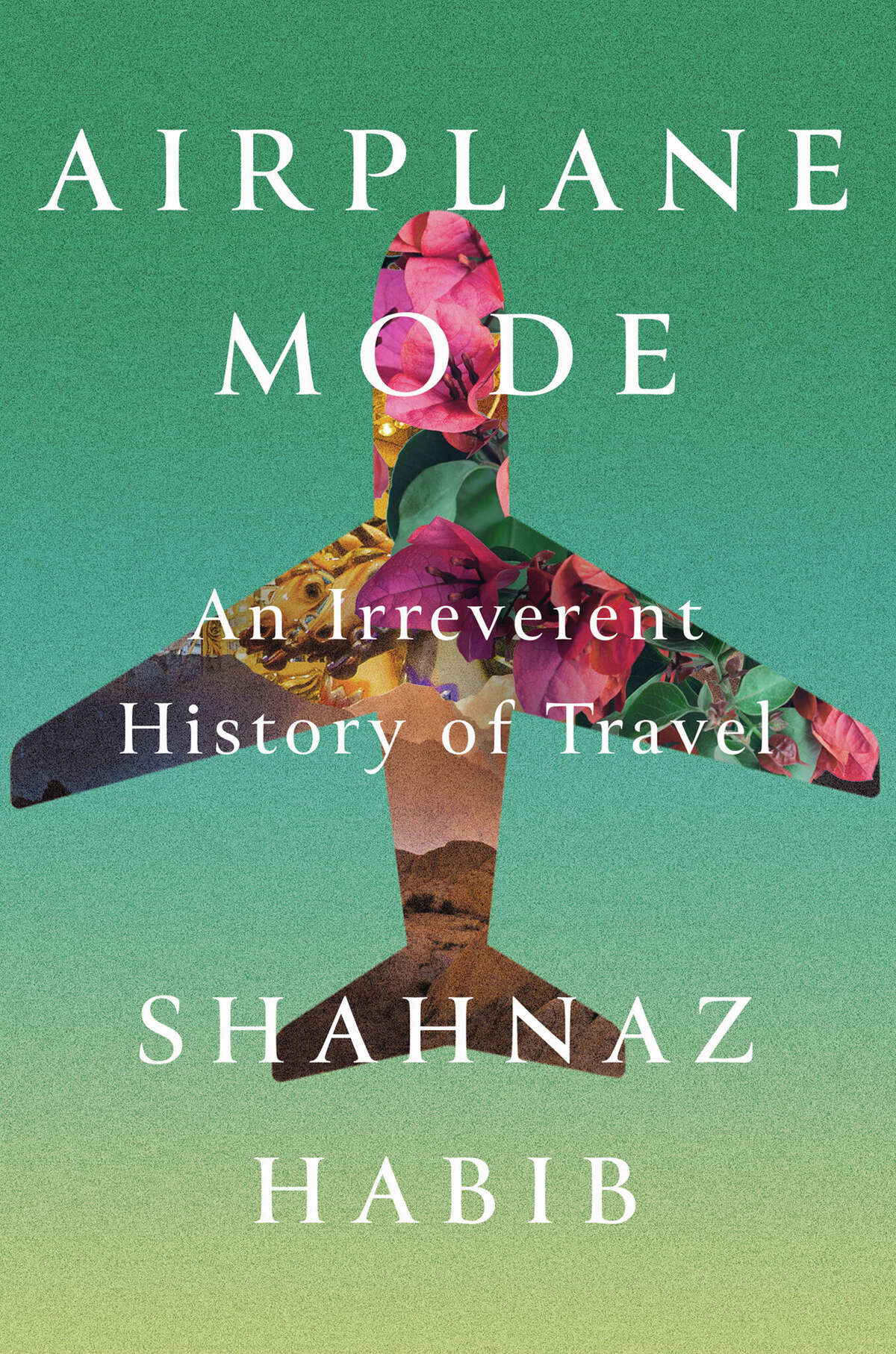6. Airplane Mode: The Pilot'S Untold Story - d9uz5sb