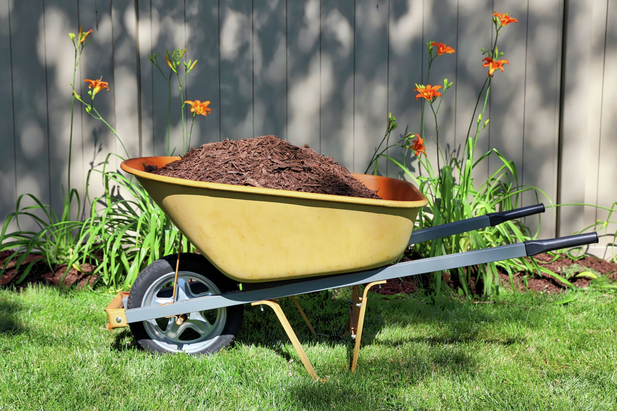 San Antonio to offer free mulch made from Christmas trees