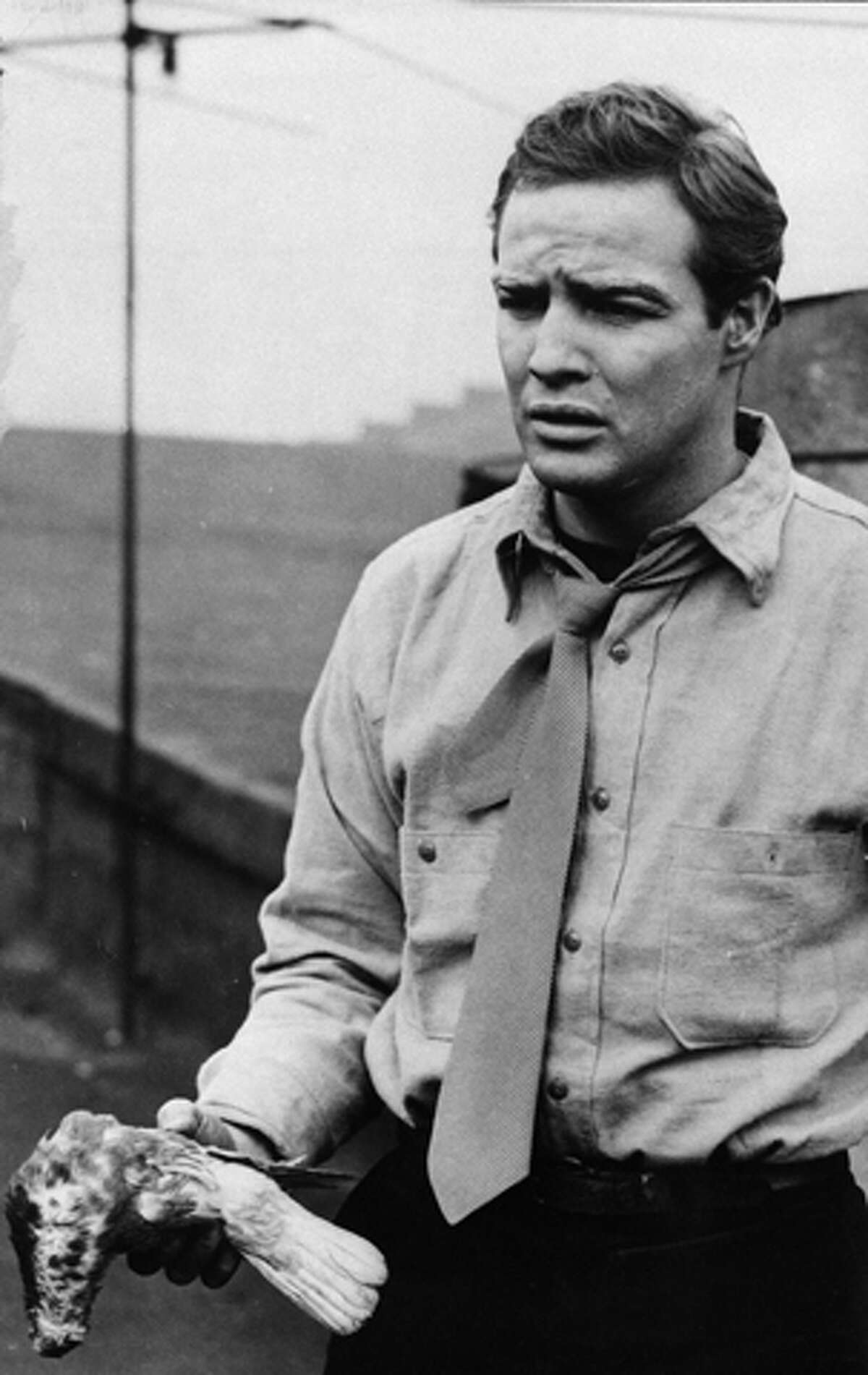 Top 20 movie quotes of all time