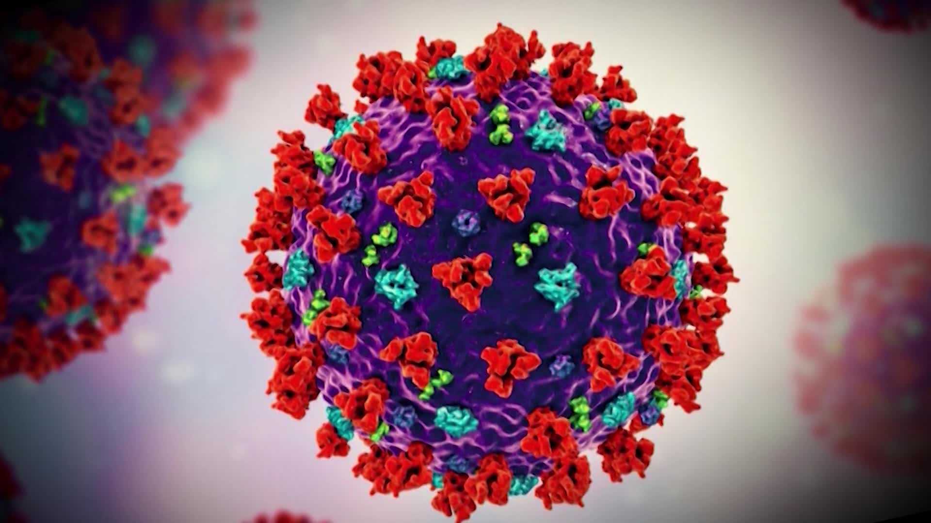 Genetic Sequence Of Coronavirus Was Submitted To US Database Two Weeks 