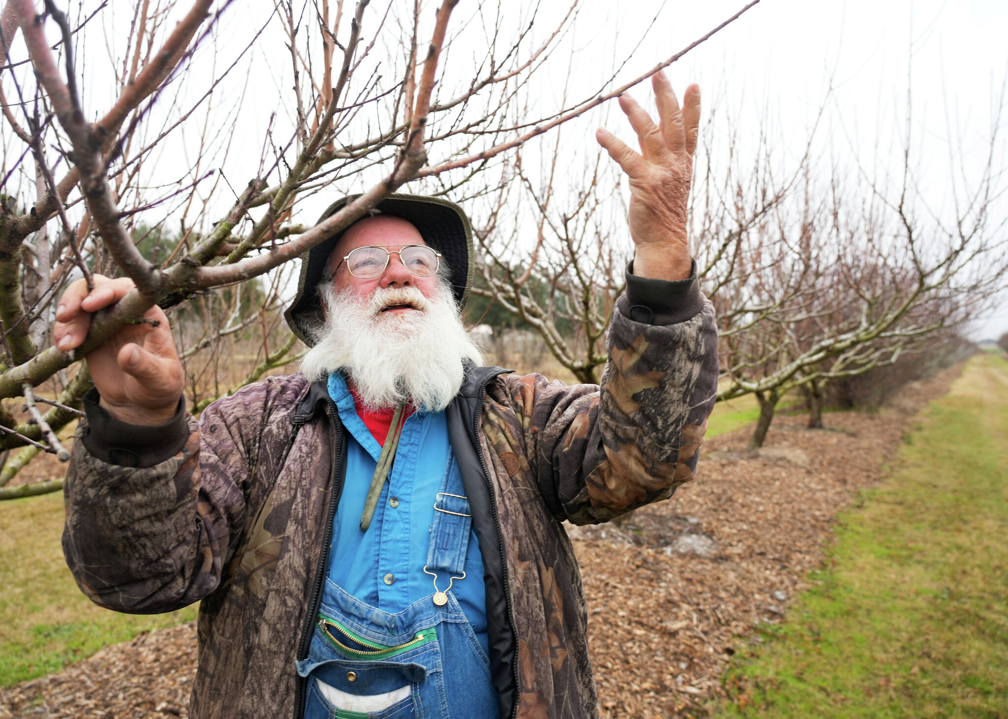 Care tips for bareroot fruit trees