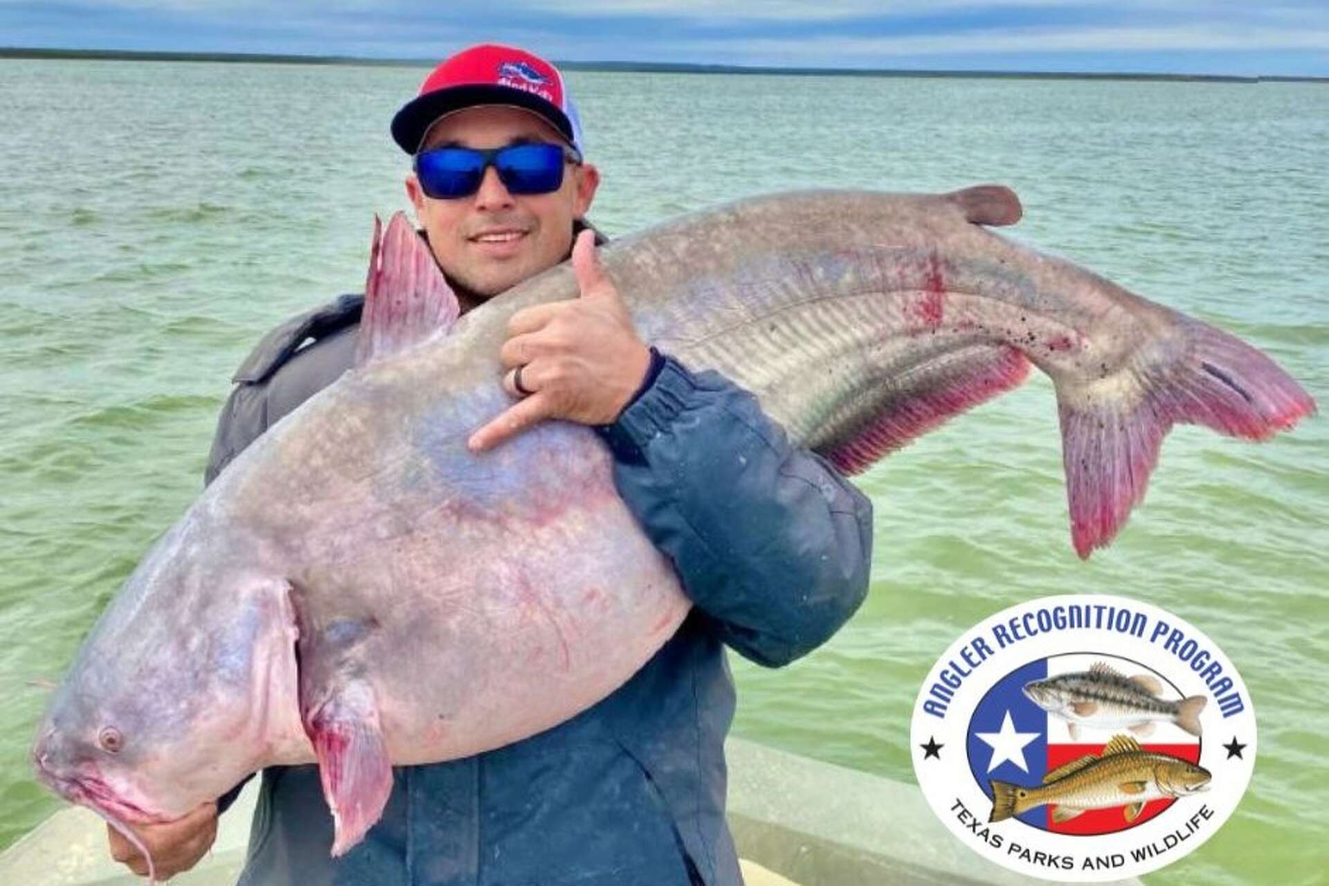 Texas angler wins awards, sets records with enormous catfish