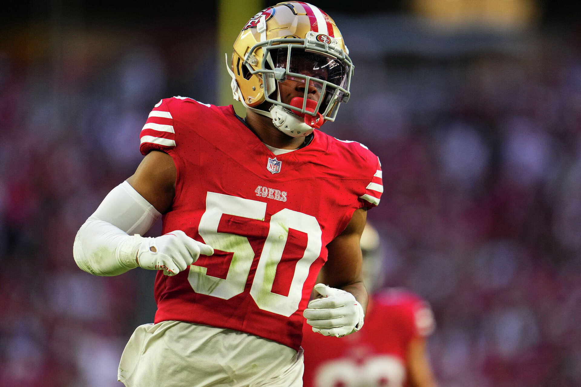 49ers' four Detroiters love Lions' saga 'but it's about to end'