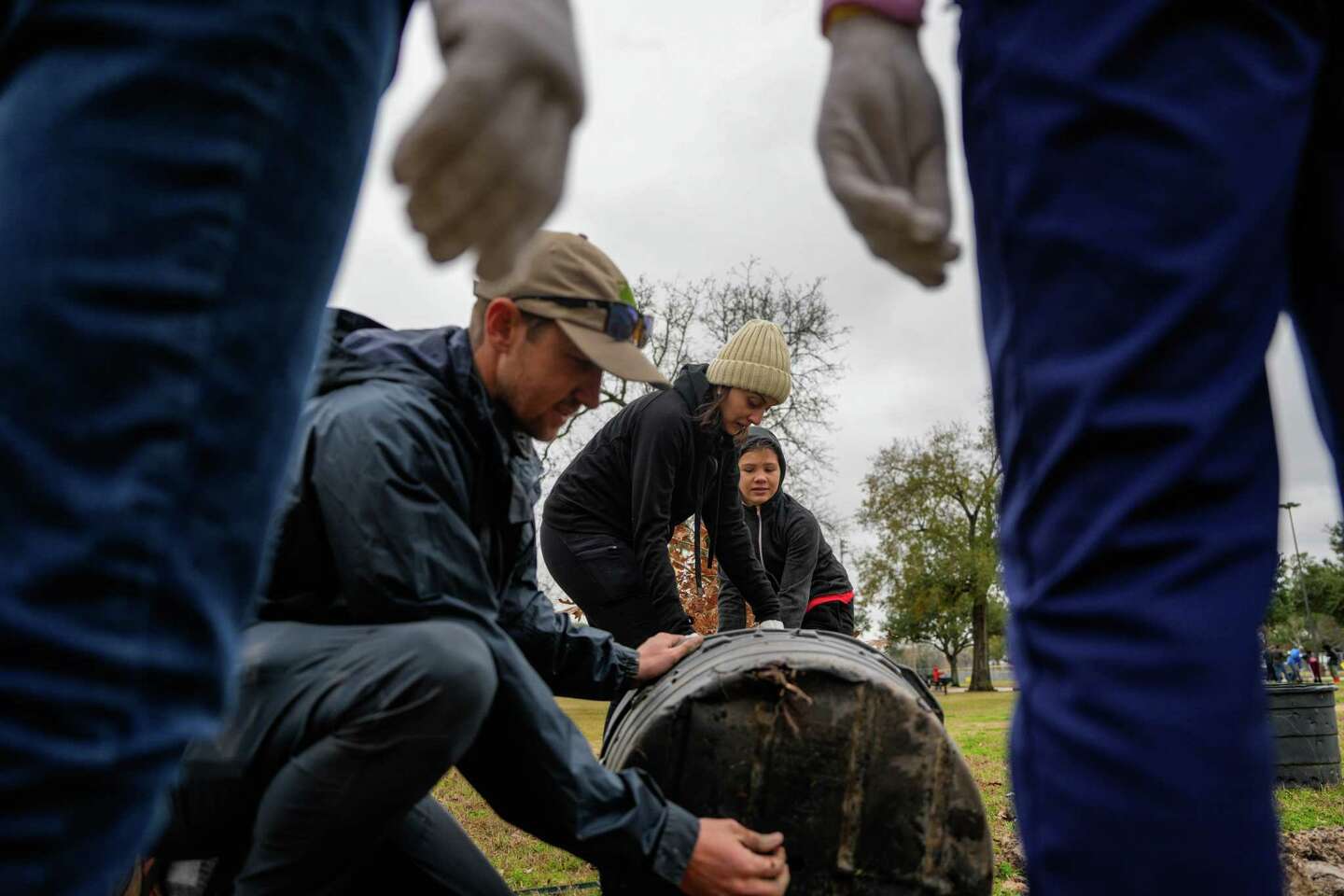 Arbor Day Trees for Houston plants trees in Tidwell Park