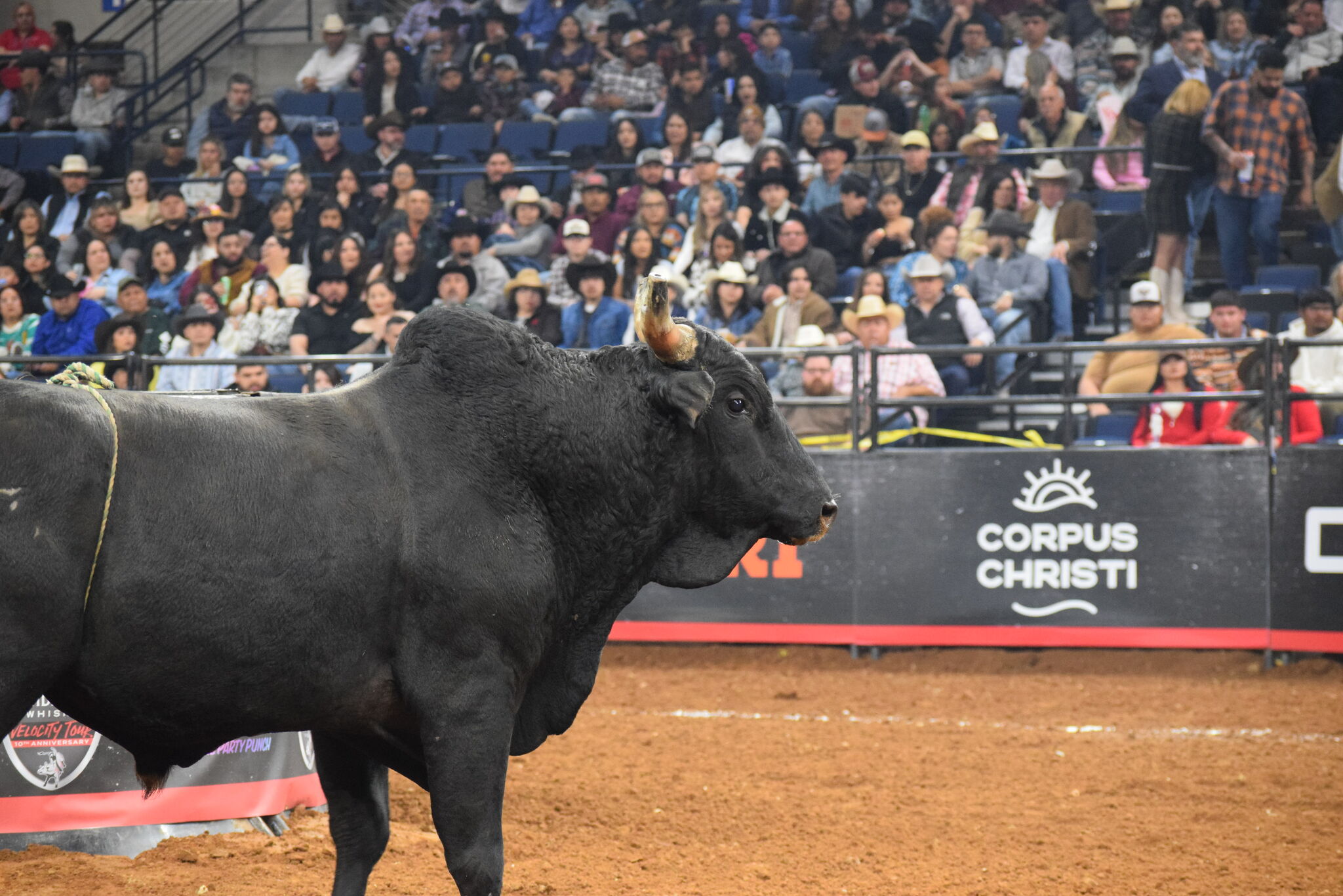 Buckin’ N Rockin’ bull riding event to honor Police Week in Laredo