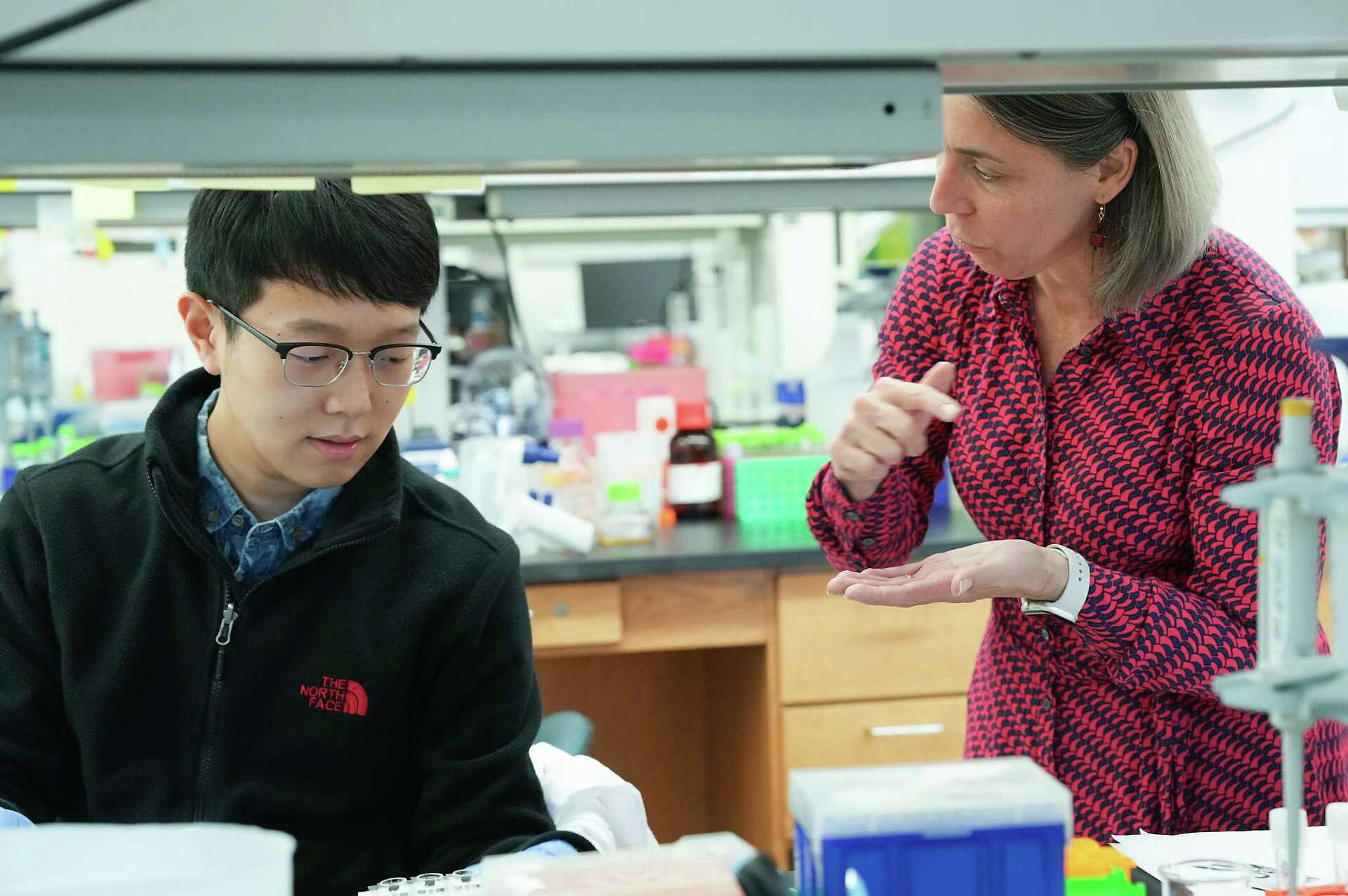 Siu Lab Rice Rice University launches synthetic biology, water institutes