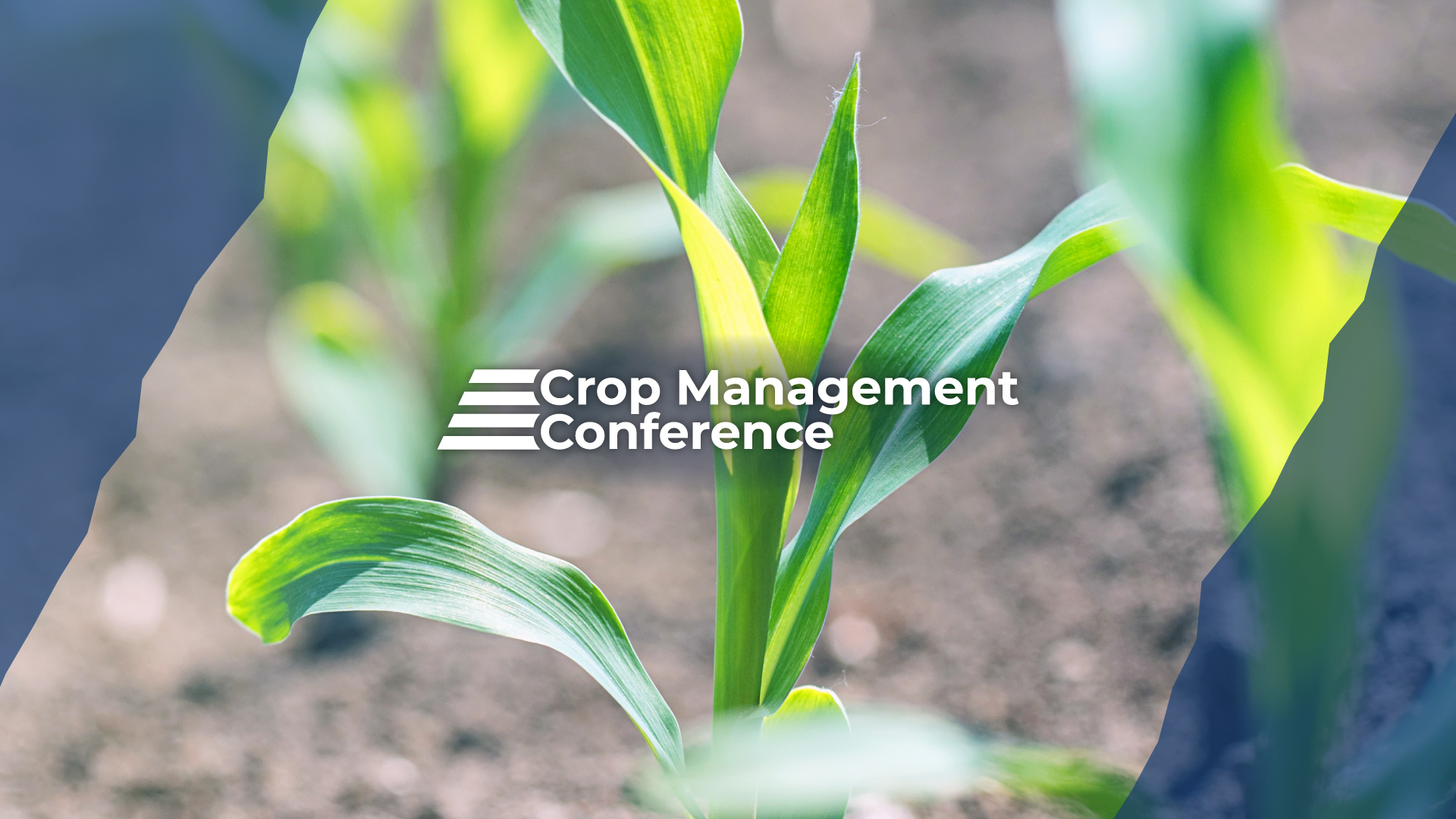 Jan 31 Feb 1 What #39 s Happening: Edwardsville calendar of events