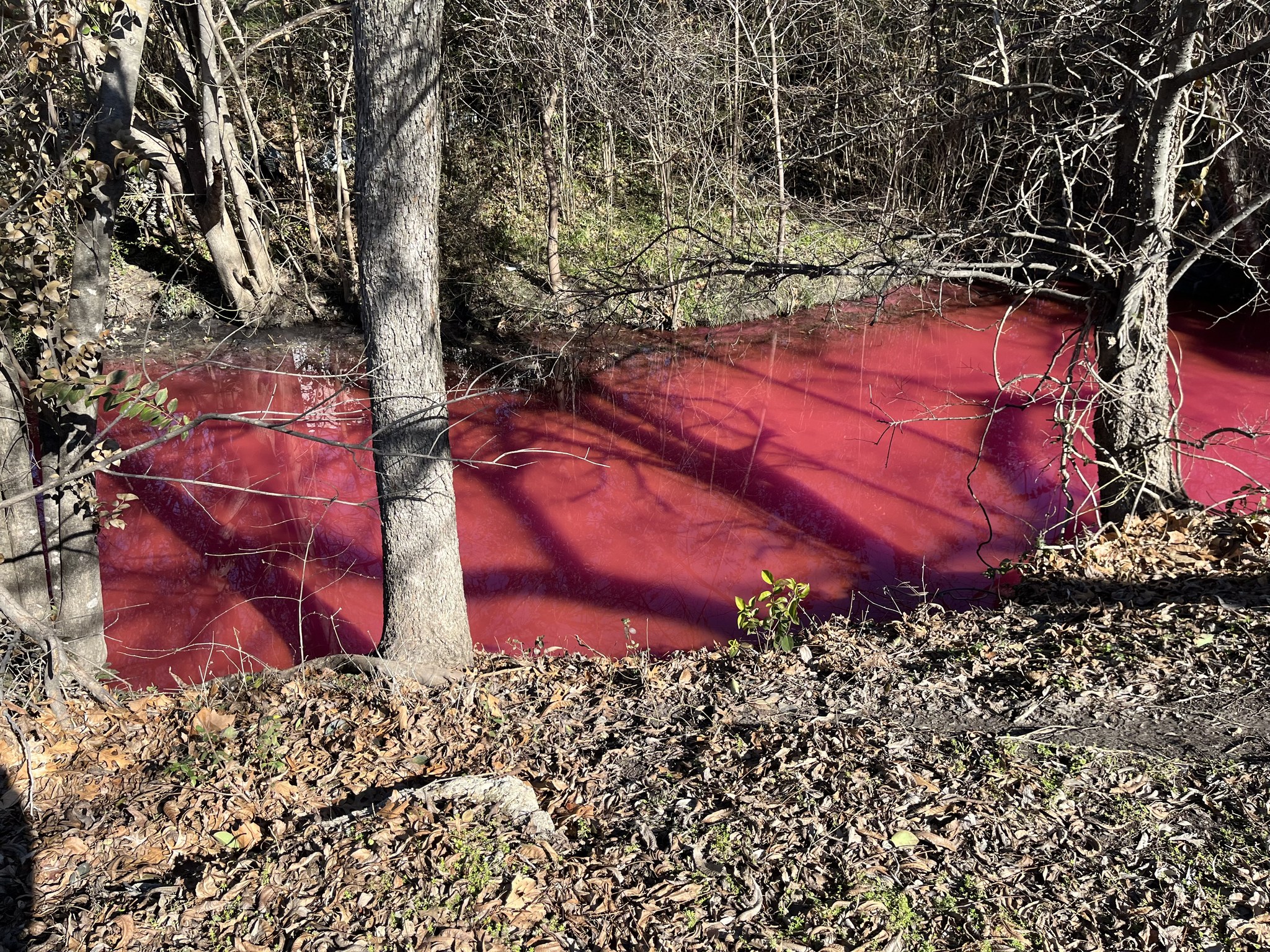 City Carwash's soap dump turns Cottonwood Creek tributary red