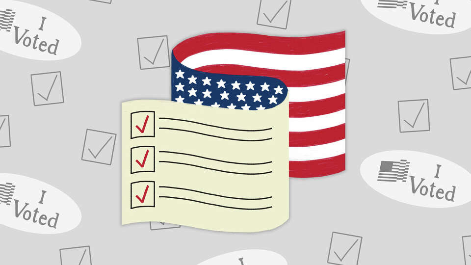 plain share image for primary voter guide page