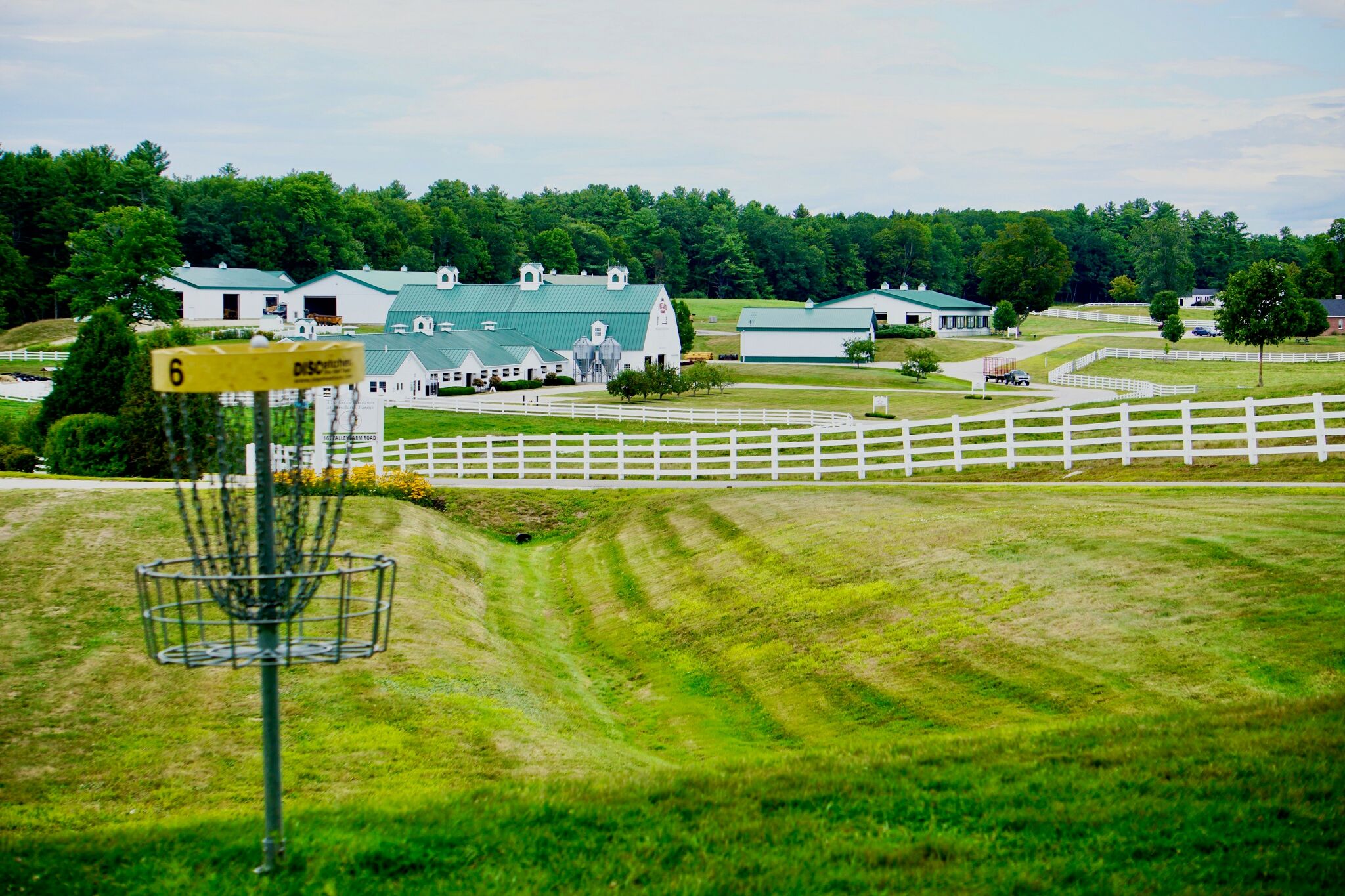 The Best Disc Golf Courses Near Portland, ME For Every Skill Level