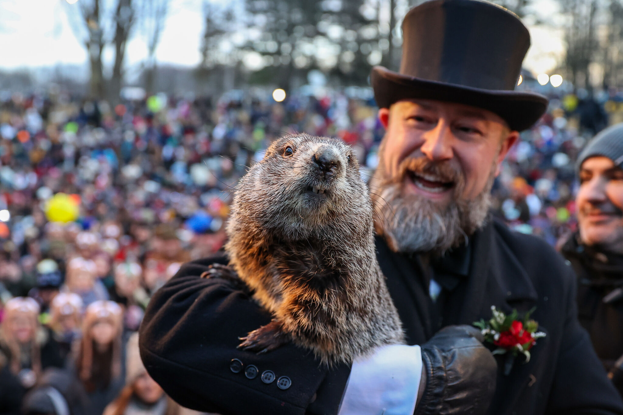 Can a groundhog predict Texas weather? A look at Phil's accuracy.