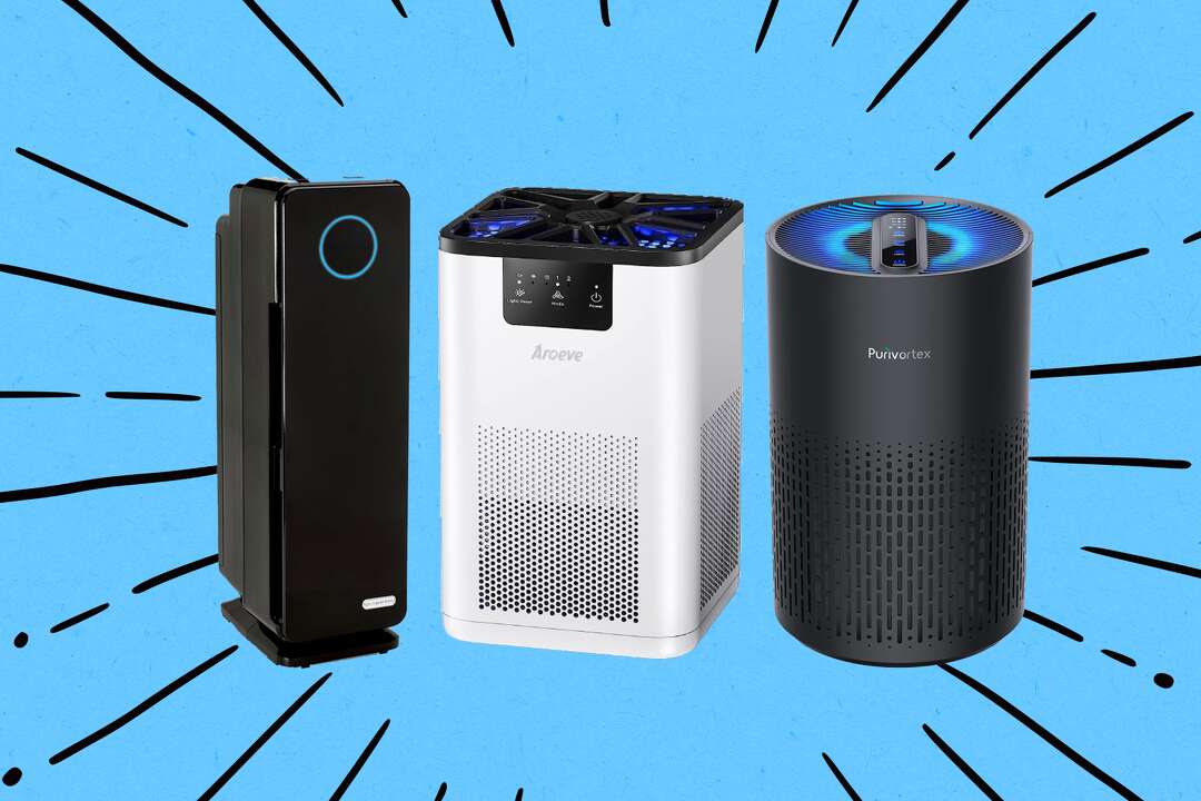The best large room air purifiers, according to an expert