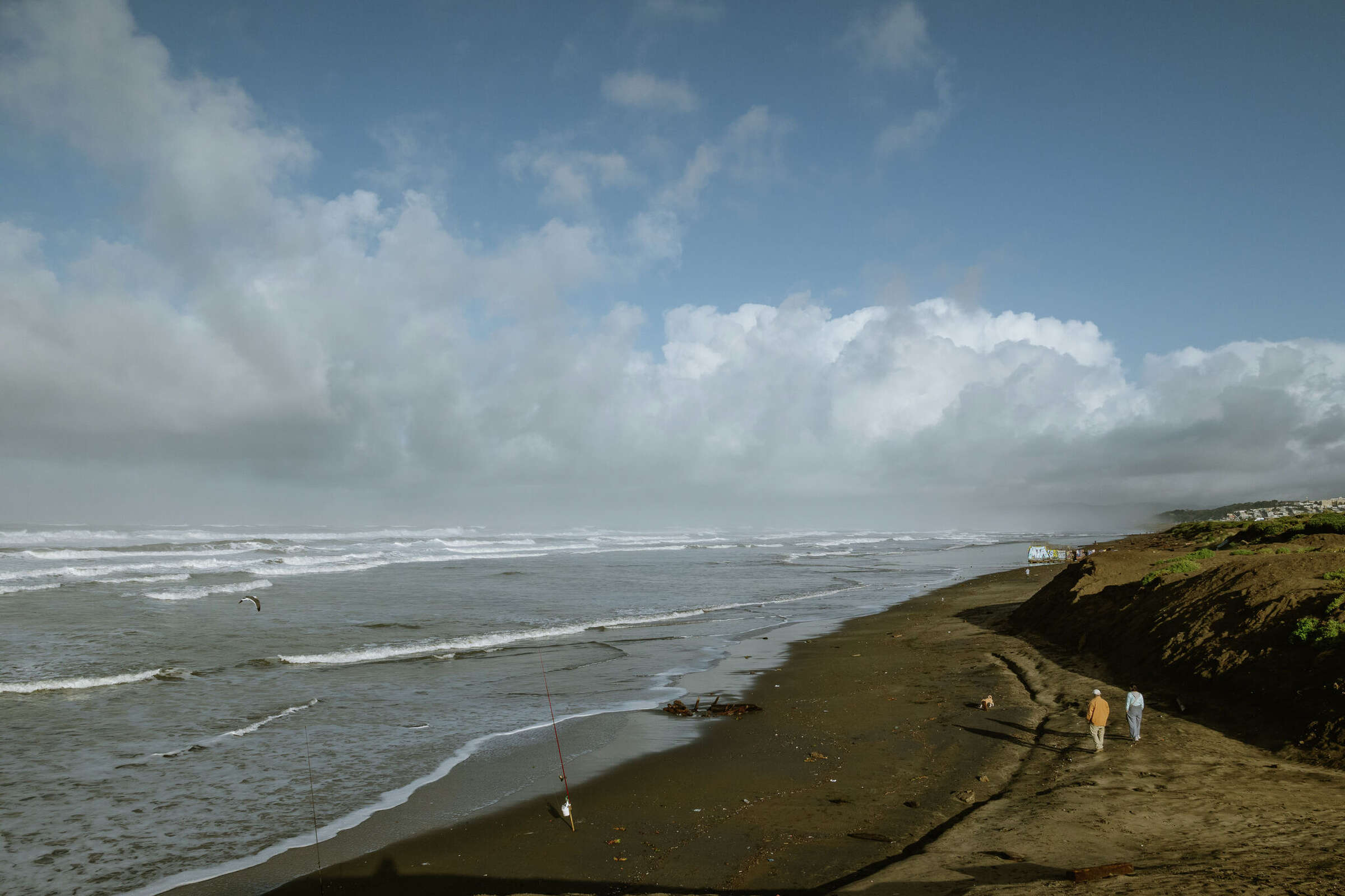 Bay Area Rain Totals Season To Date - fp0u4j5