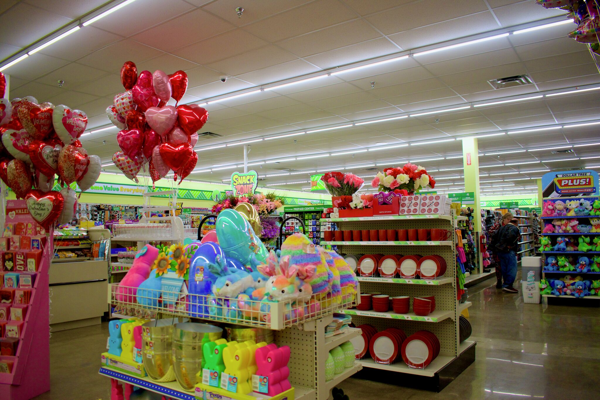 Dollar Tree opens Big Rapids Michigan store in Mecosta County