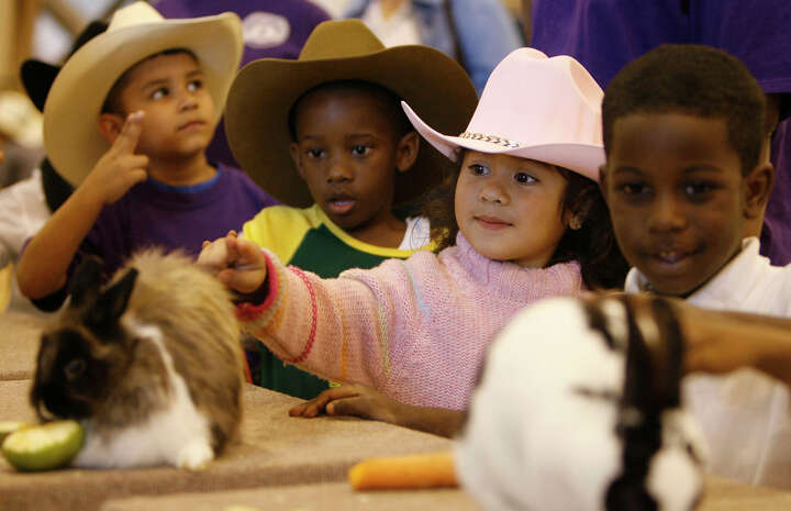 Houston Rodeo family favorites: Carnival, petting zoos, pig races