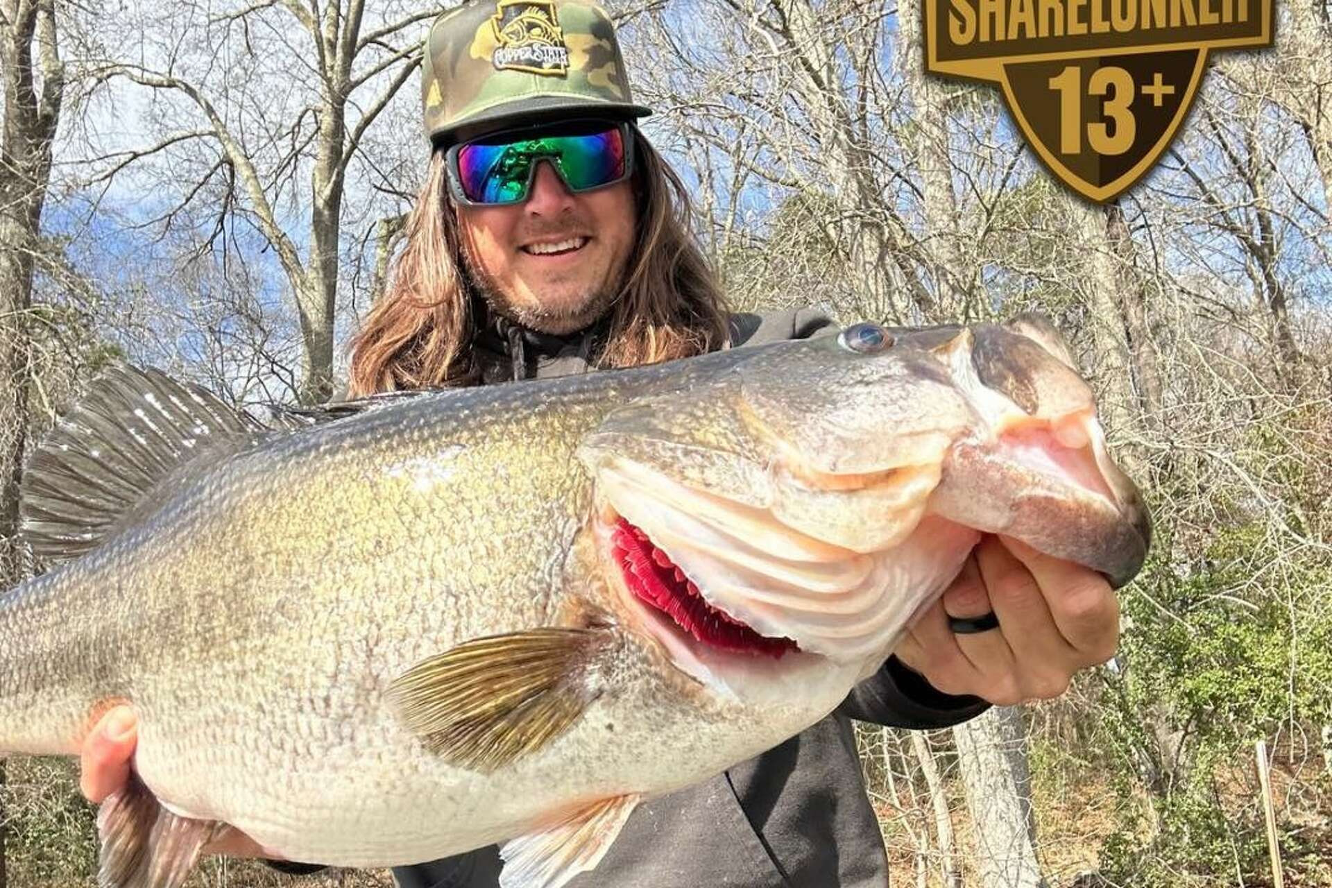 dam exquisite fly reel Tibor Grand Slam Reels // Special Edition Grand Slam Reels — Red's Fly Shop duty version of the Premium Metal Baitcasting Reel micro sumo Colour:Minnow