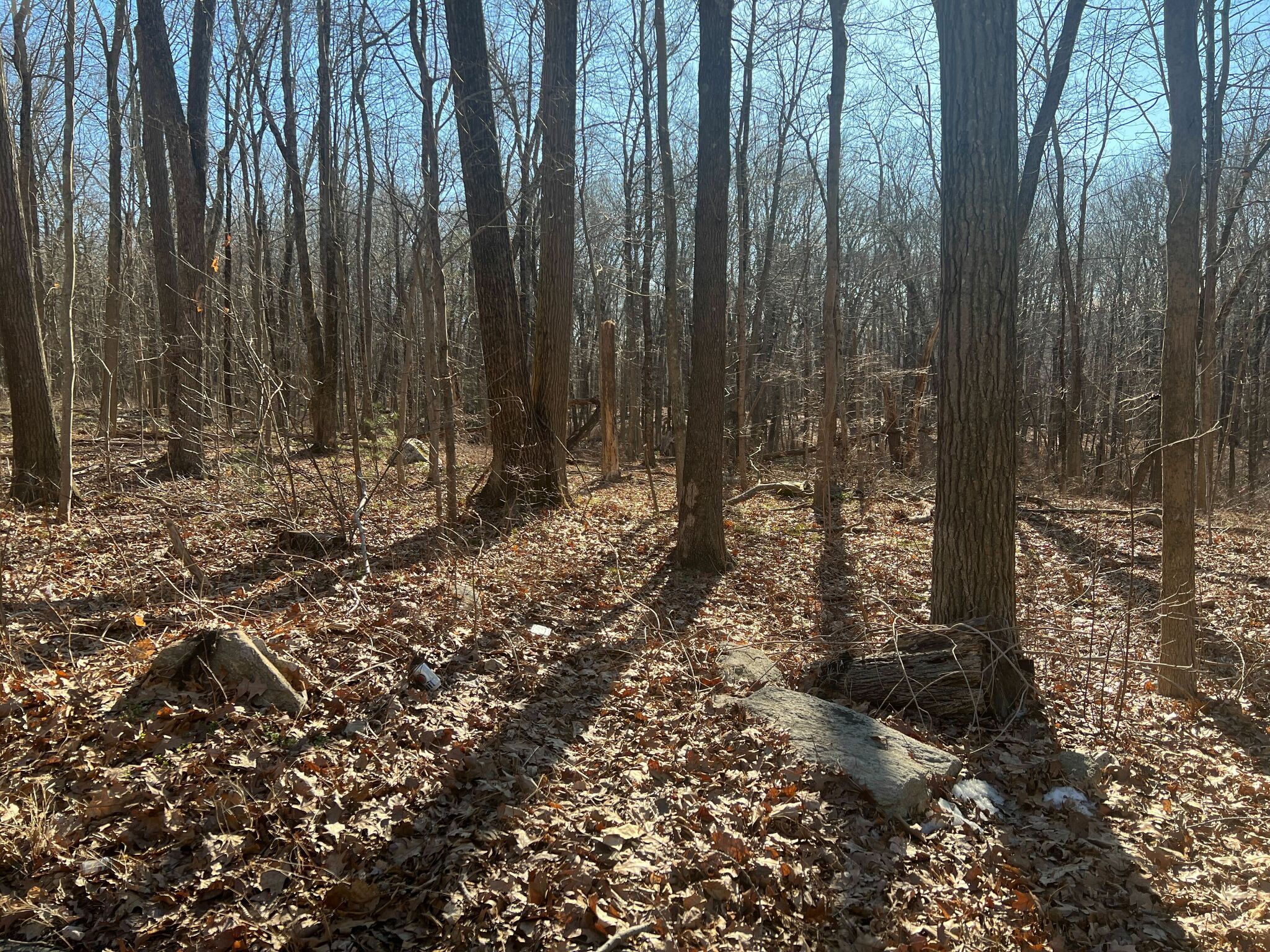 The town would purchase the land using bond money intended for preserving open space.