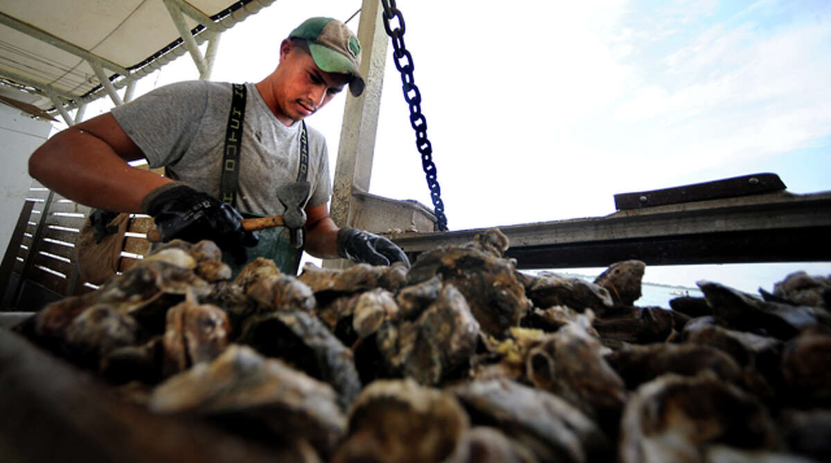 Oyster Business Continues in Galveston Bay