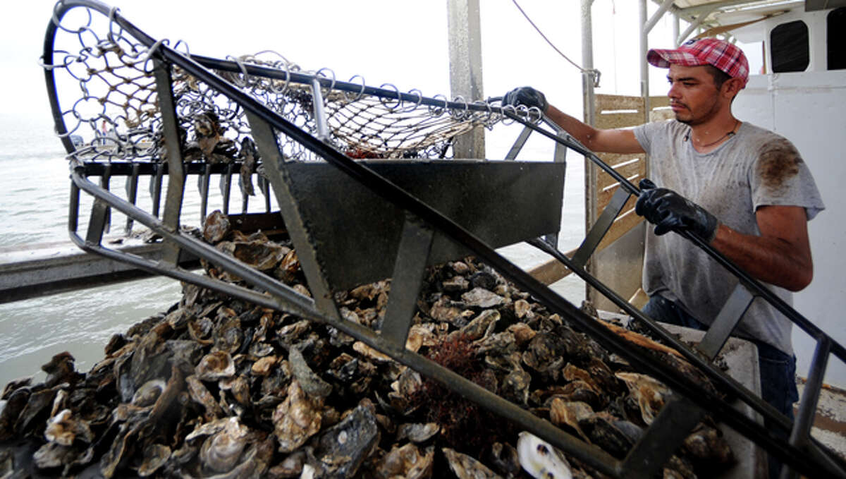 Oyster Business Continues in Galveston Bay