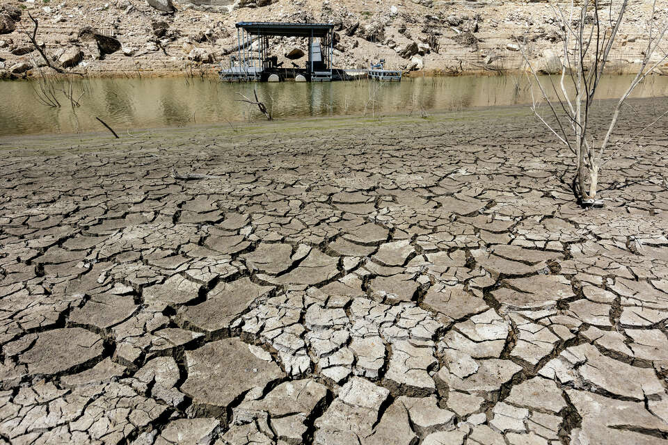 San Antonio drought affected landscapes