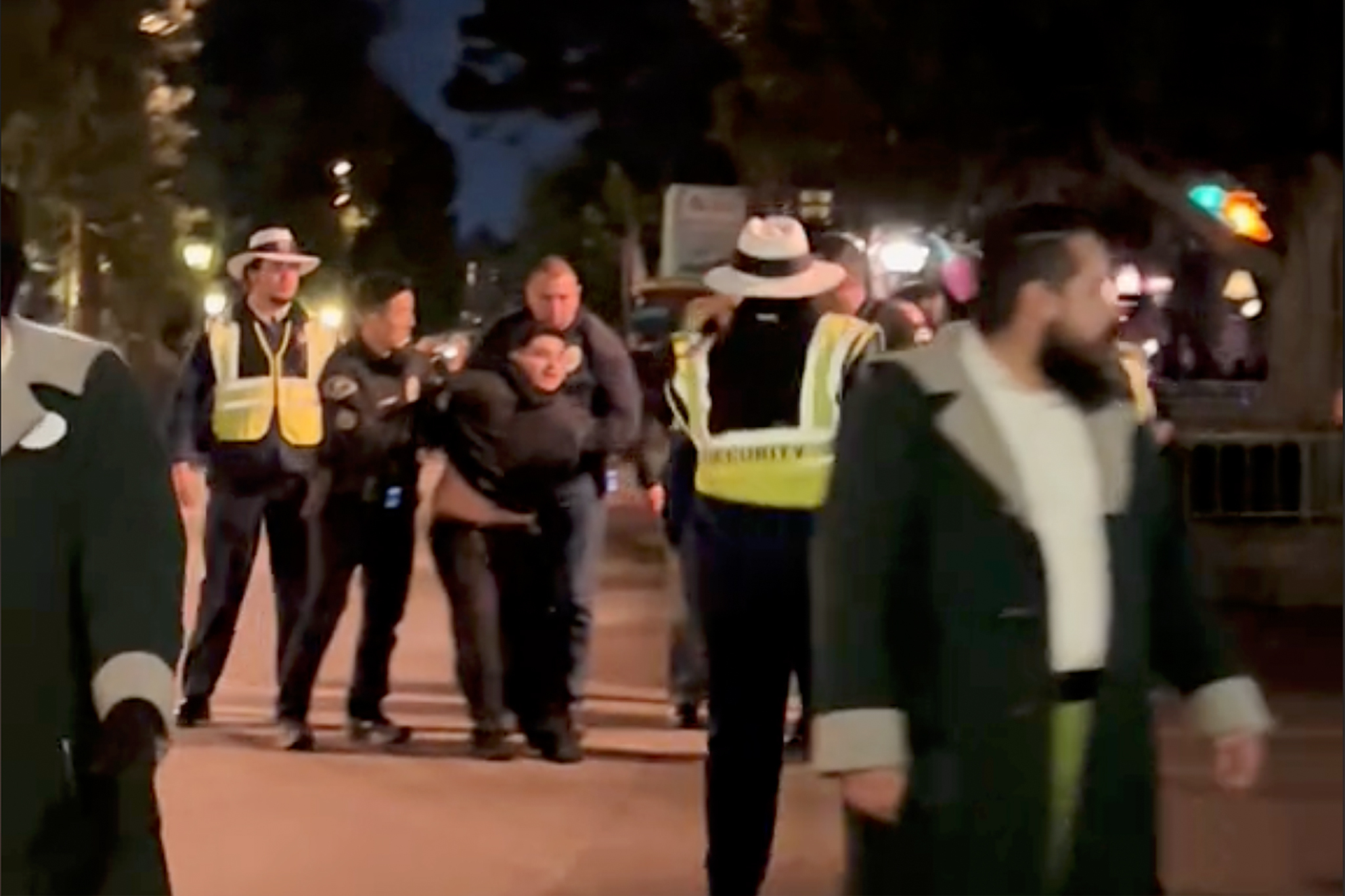 Viral TikTok shows man at Disneyland arrested on suspicion of assault
