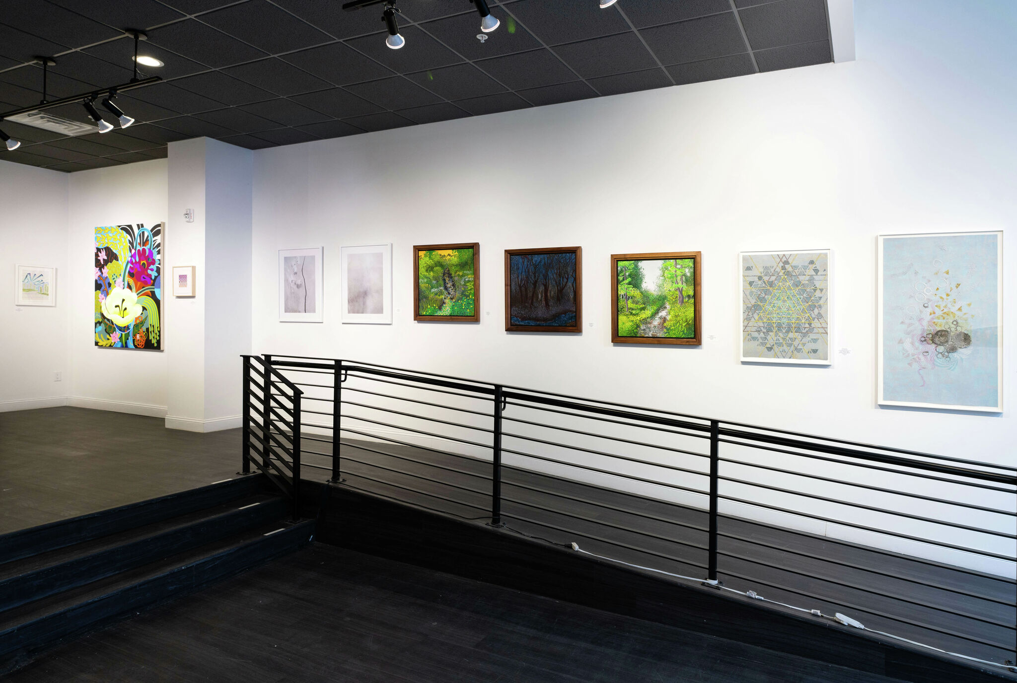 'Bloom' at Albany Center Gallery bursts with color, vibrancy