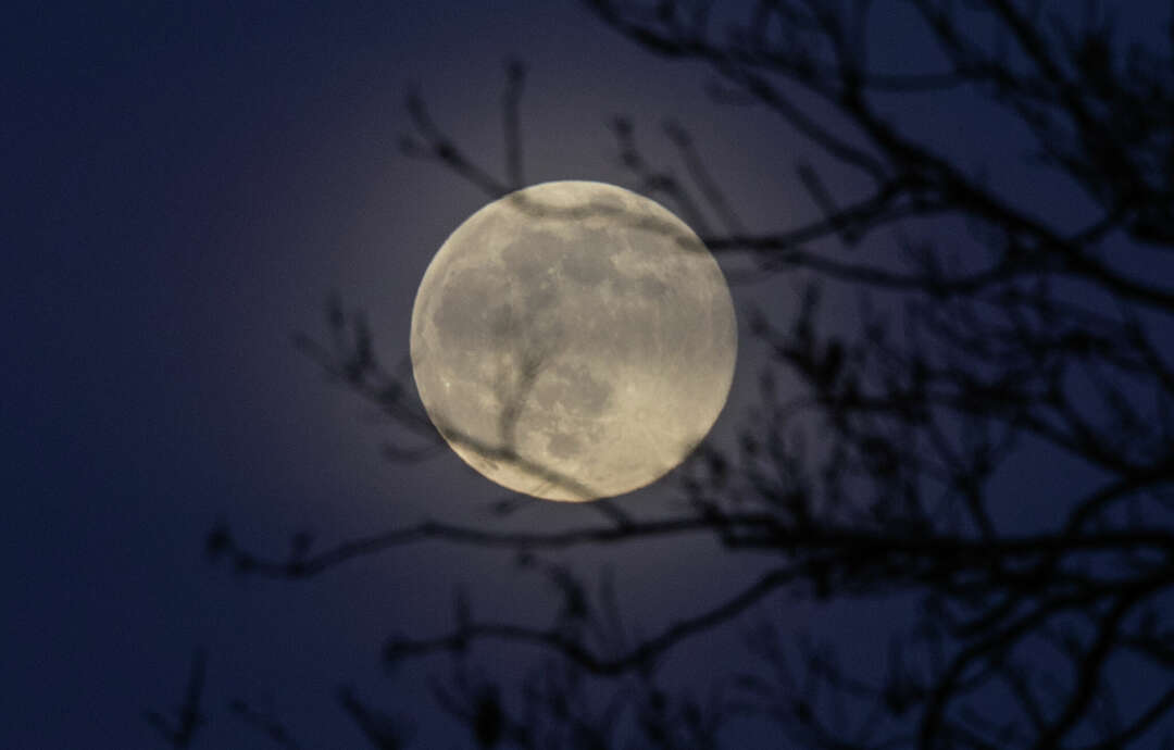 Snow Moon 2024 A micromoon lights up February sky