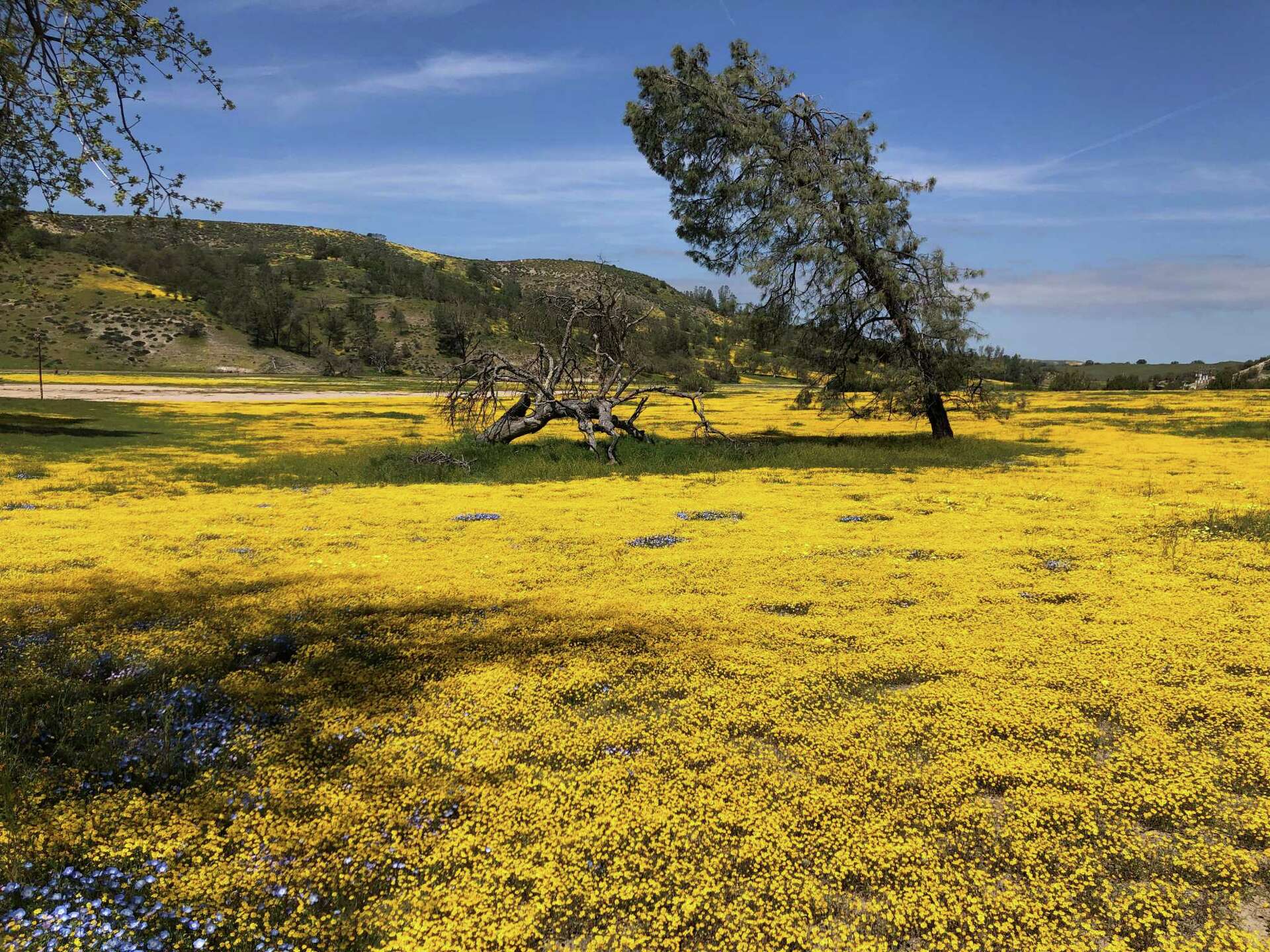 Swath of California Central Coast land to be preserved with 10M grant