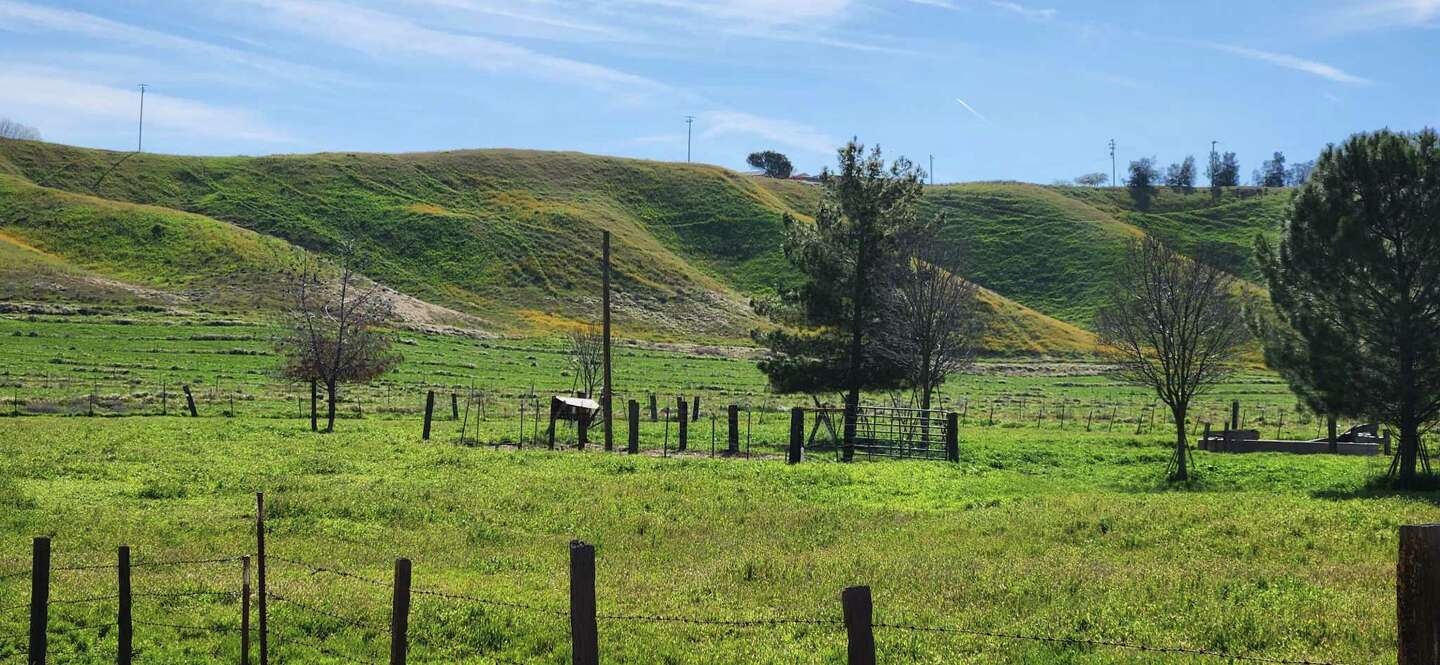 Swath of California Central Coast land to be preserved with 10M grant