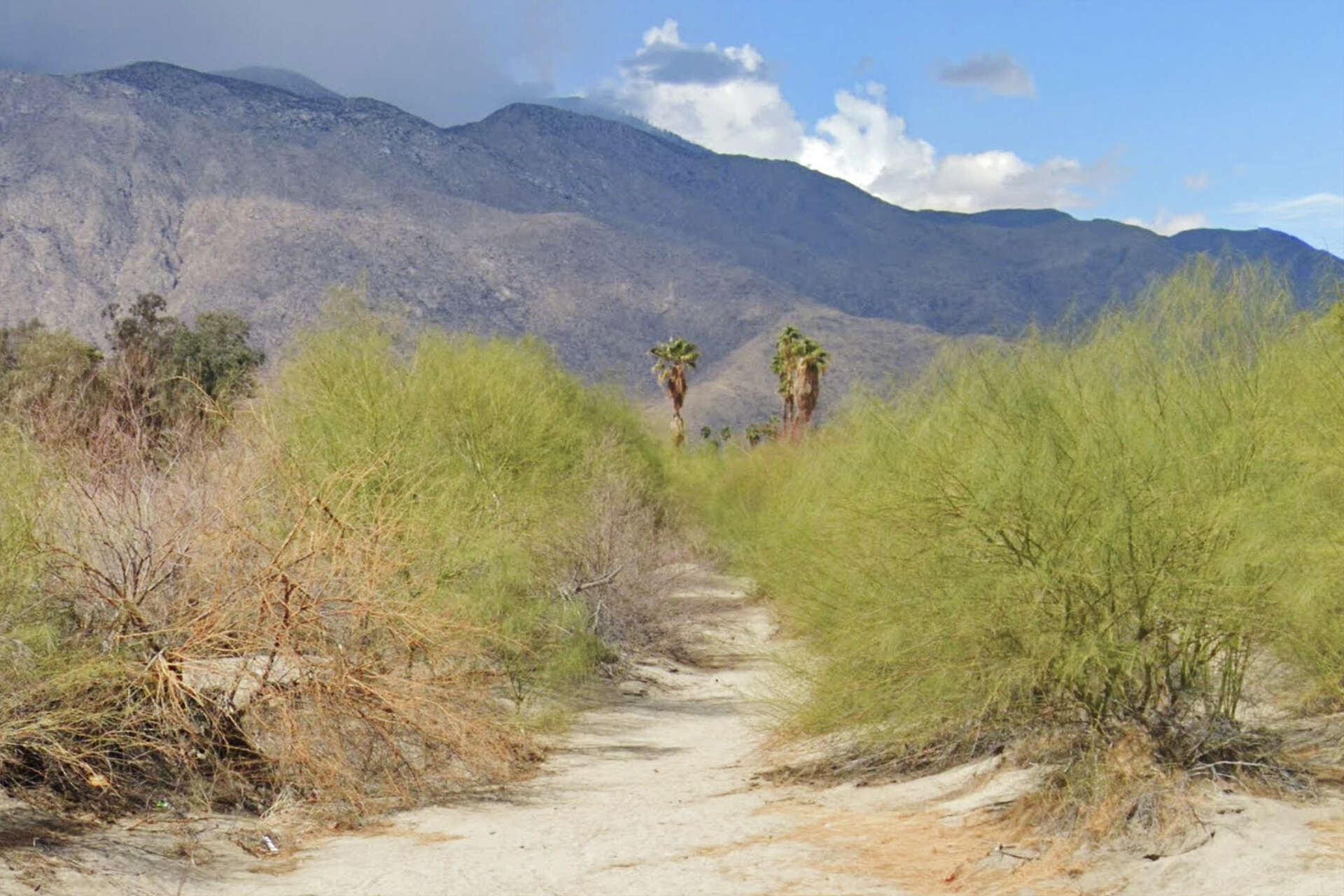 People keep having sex near an abandoned Palm Springs golf course