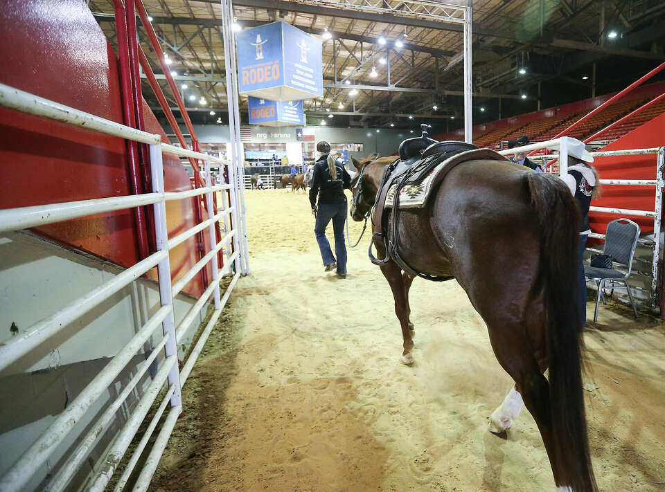 Schedule, events for Houston Rodeo horse show competitions