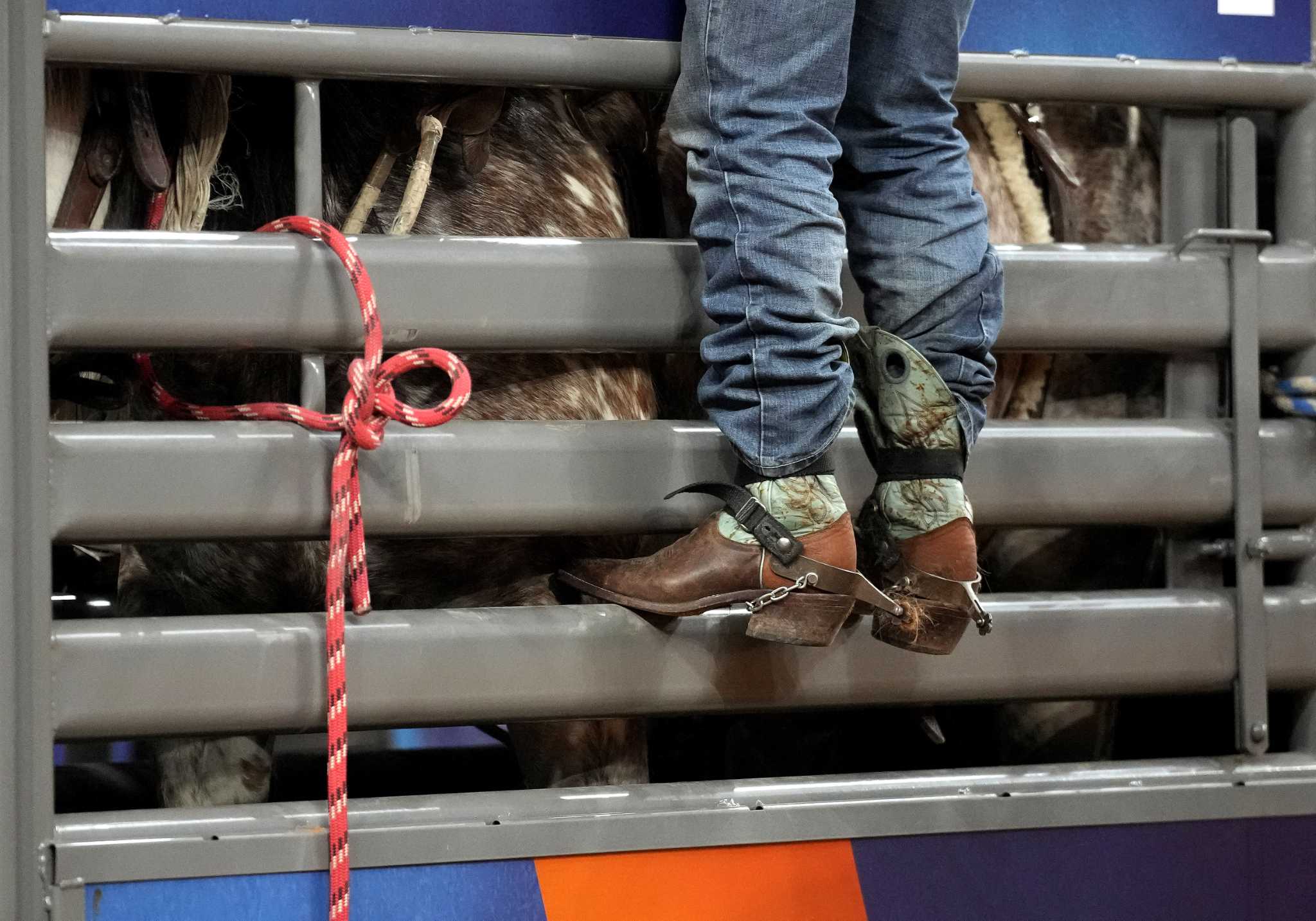 Black Heritage Day among Houston Rodeo special days