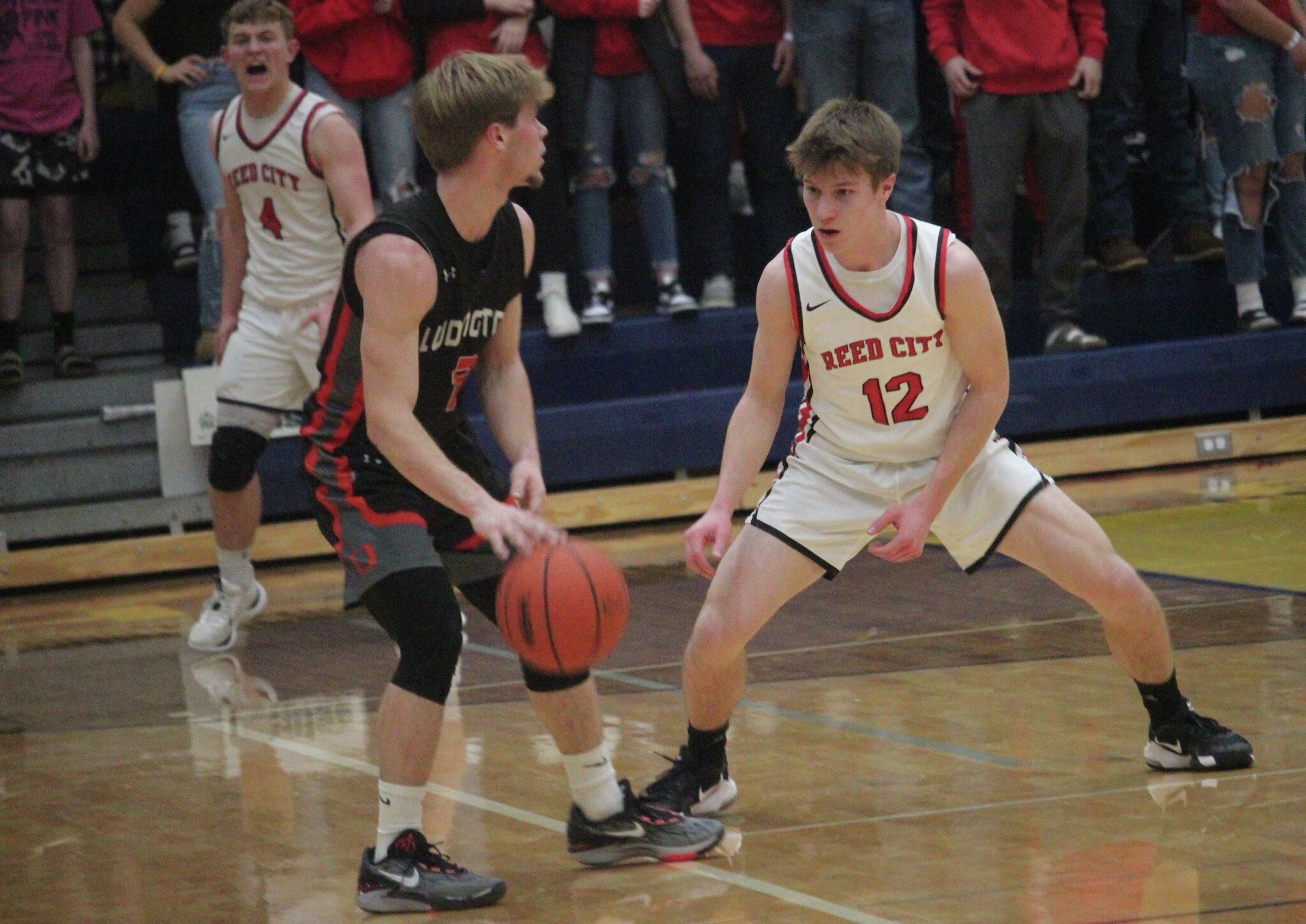 Reed City falls in defensive struggle