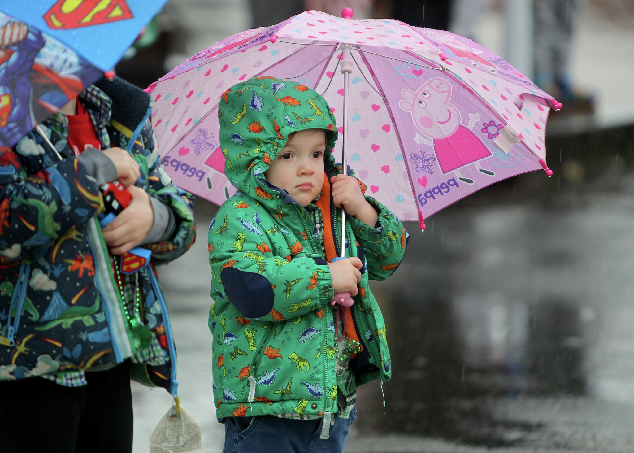 Stamford's St. Patrick's Day Parade offers floats, music and fun