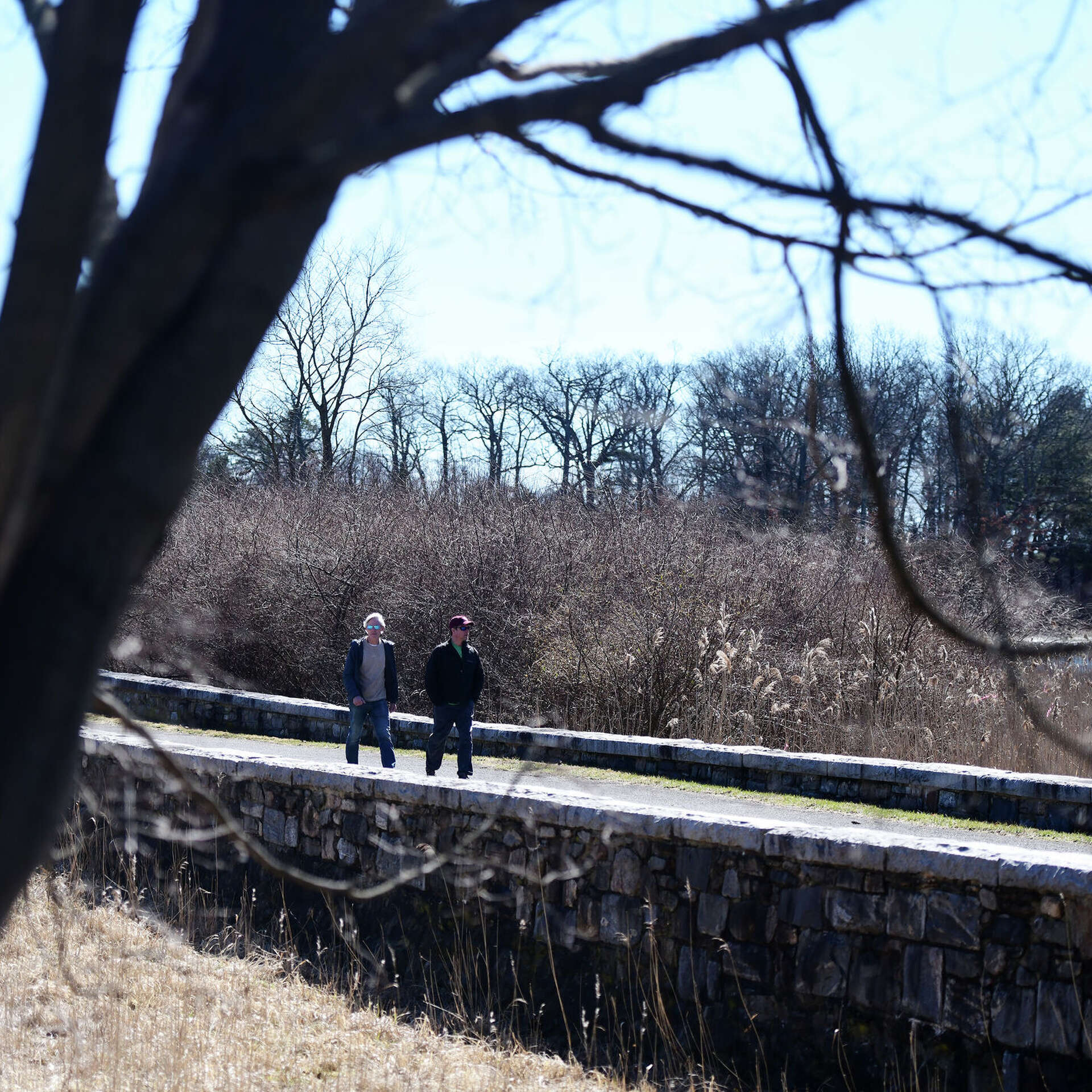 Darien News from the Darien Times Newspaper