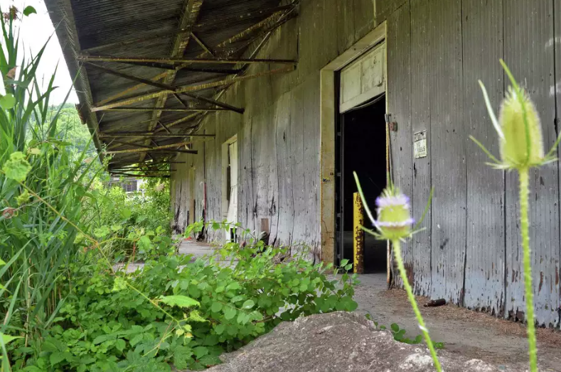 Upstate New York Business Leaders Say Conditions Are Getting Worse