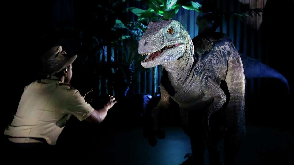 During a live action performance, a staffer directs the velociraptor named ÒBlueÓ in one of the exhibits during a media tour of the new ÒJurassic World: The ExhibitionÓ, featuring the dinosaurs themes made famous in the movie franchise, held in a big tent outside of Katy Mills Mall Thursday, Mar. 7, 2024 in Katy, TX.