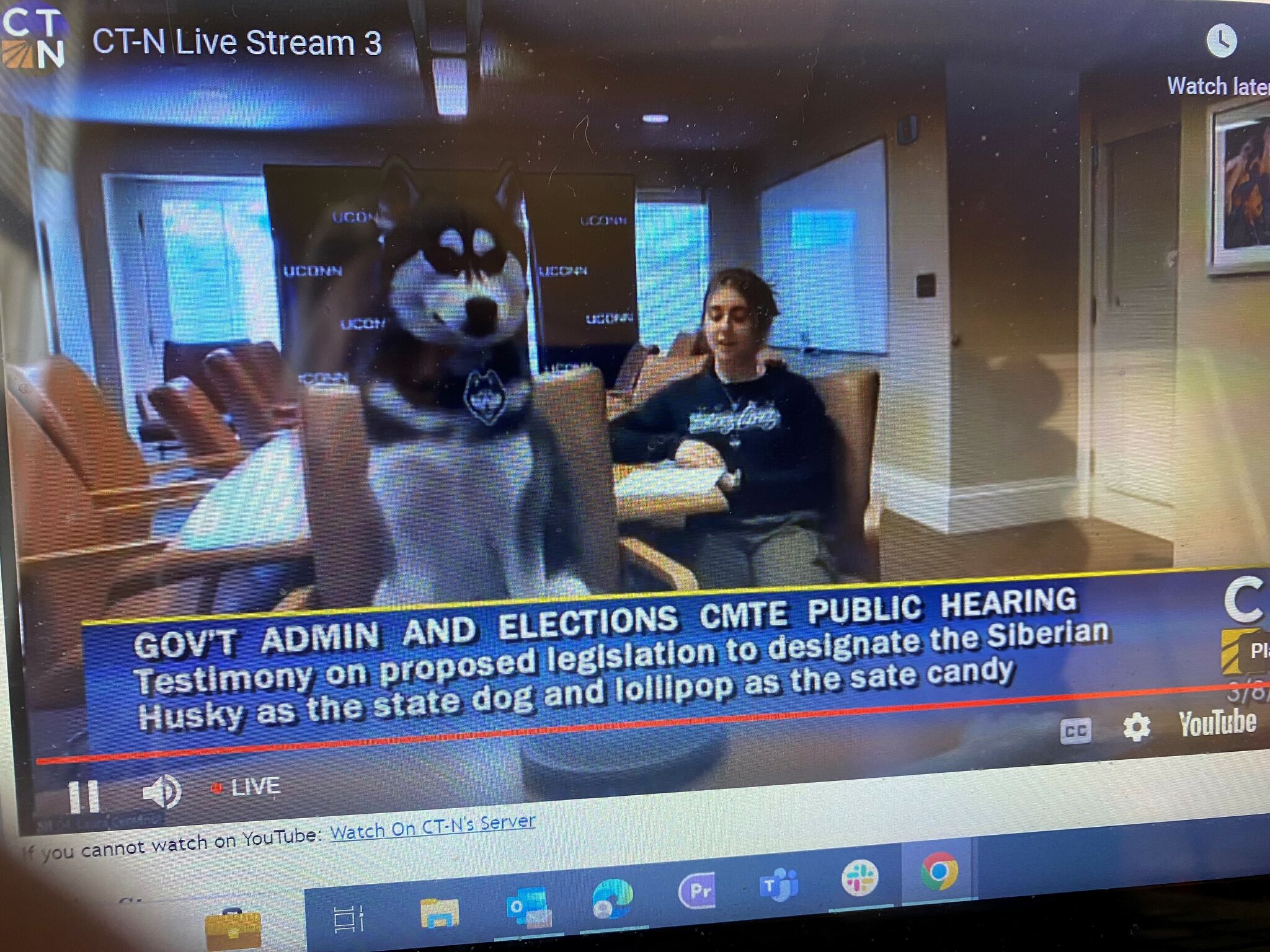 Uconn Student Ticket: The Untold Story - b557zjj