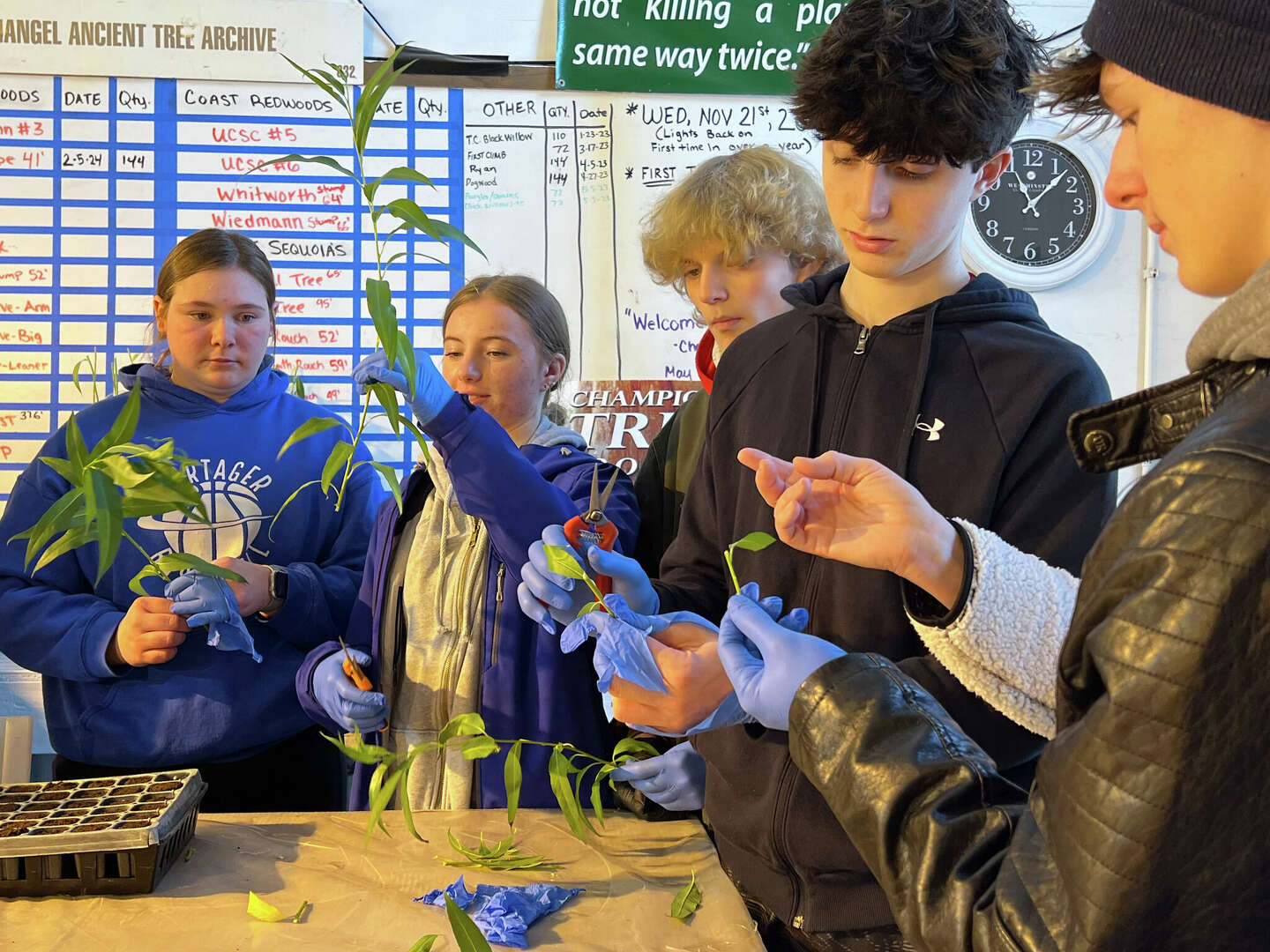 Archangel Ancient Tree Archive, garden club working with students