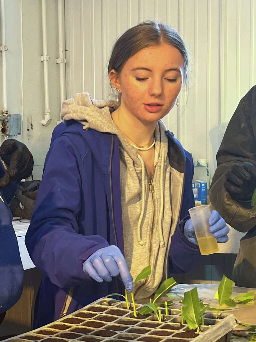 Archangel Ancient Tree Archive, garden club working with students